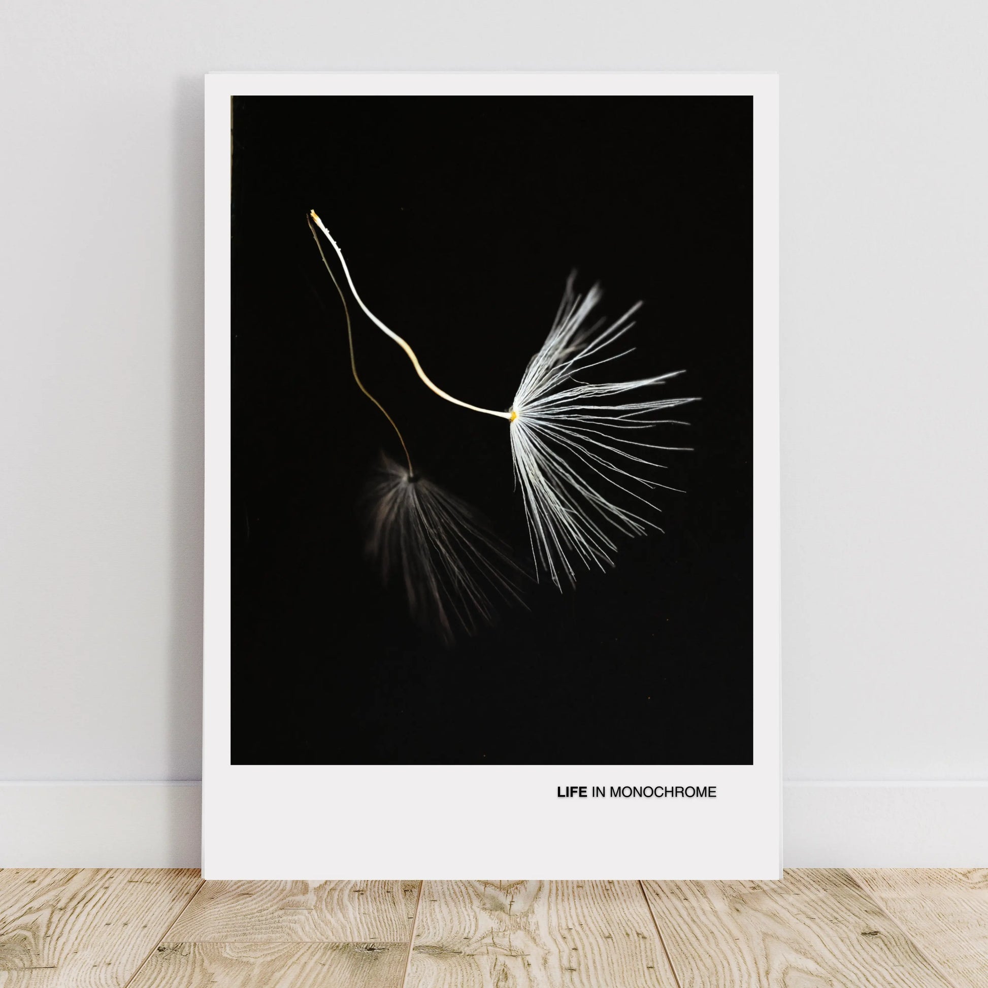 Minimalist Dandelion Seed Wall Art – Monochrome Botanical Print  Print Material INK & FRAME STUDIO