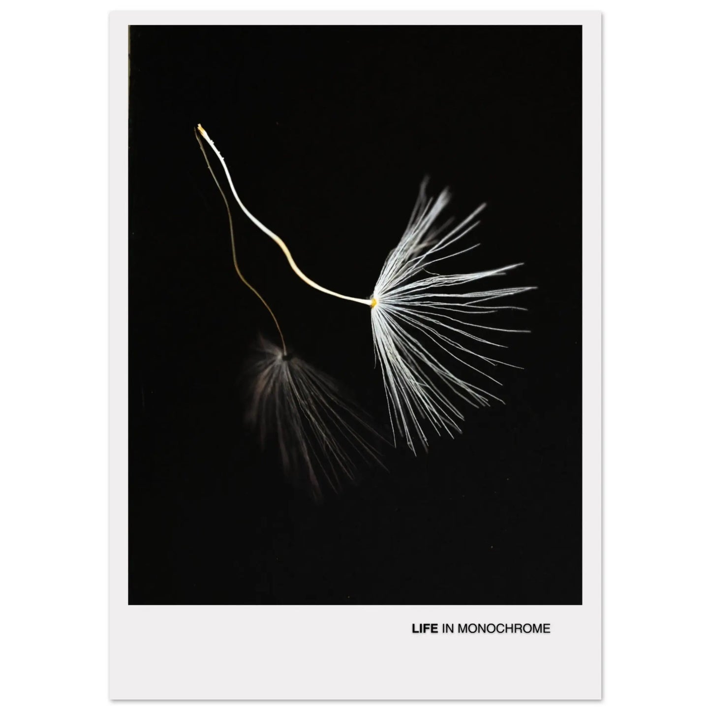 6ccea597-b2ff-47b8-92fc-5ad091f10c18