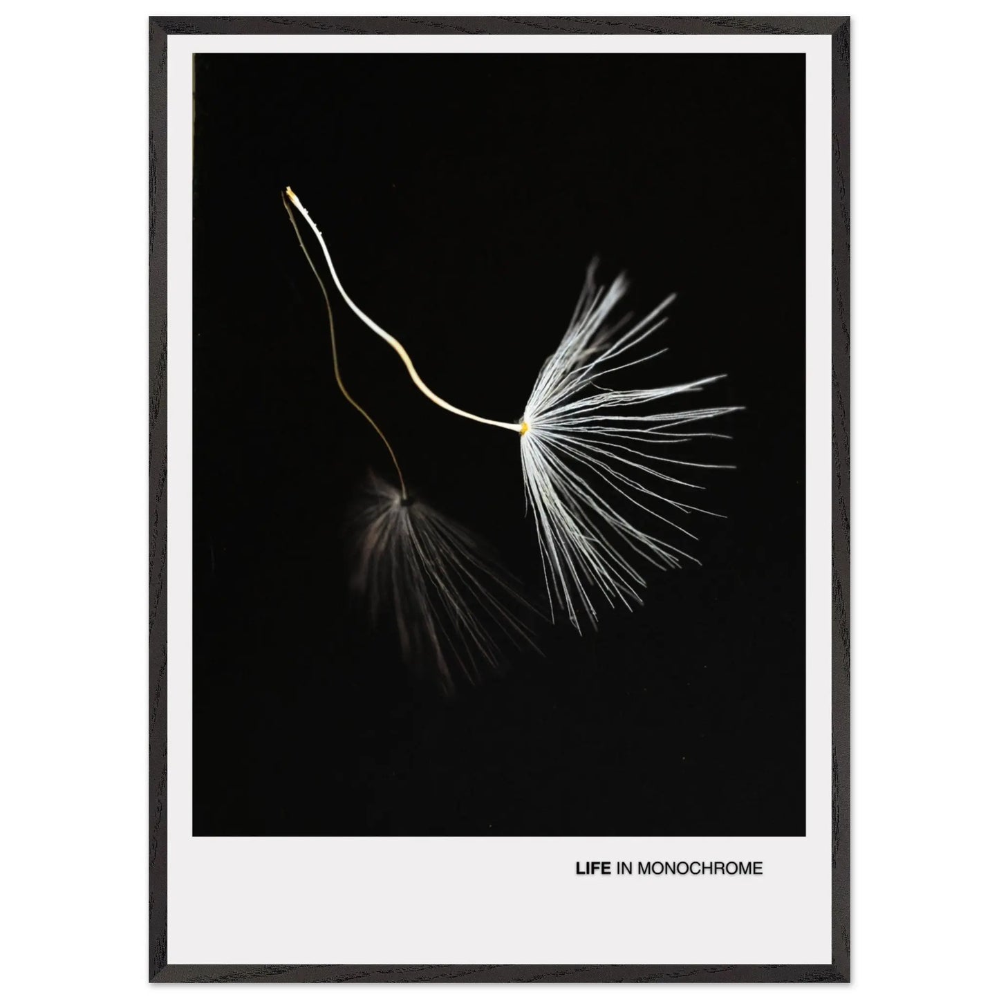 c7251909-23e1-4026-af37-97226b7ad374