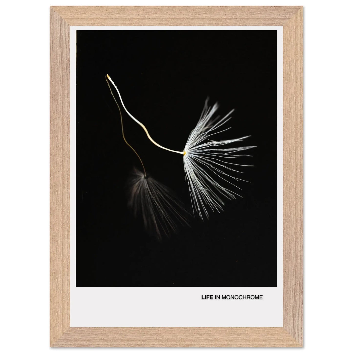 df31c196-890e-4e86-9c4d-b7cb92f86809