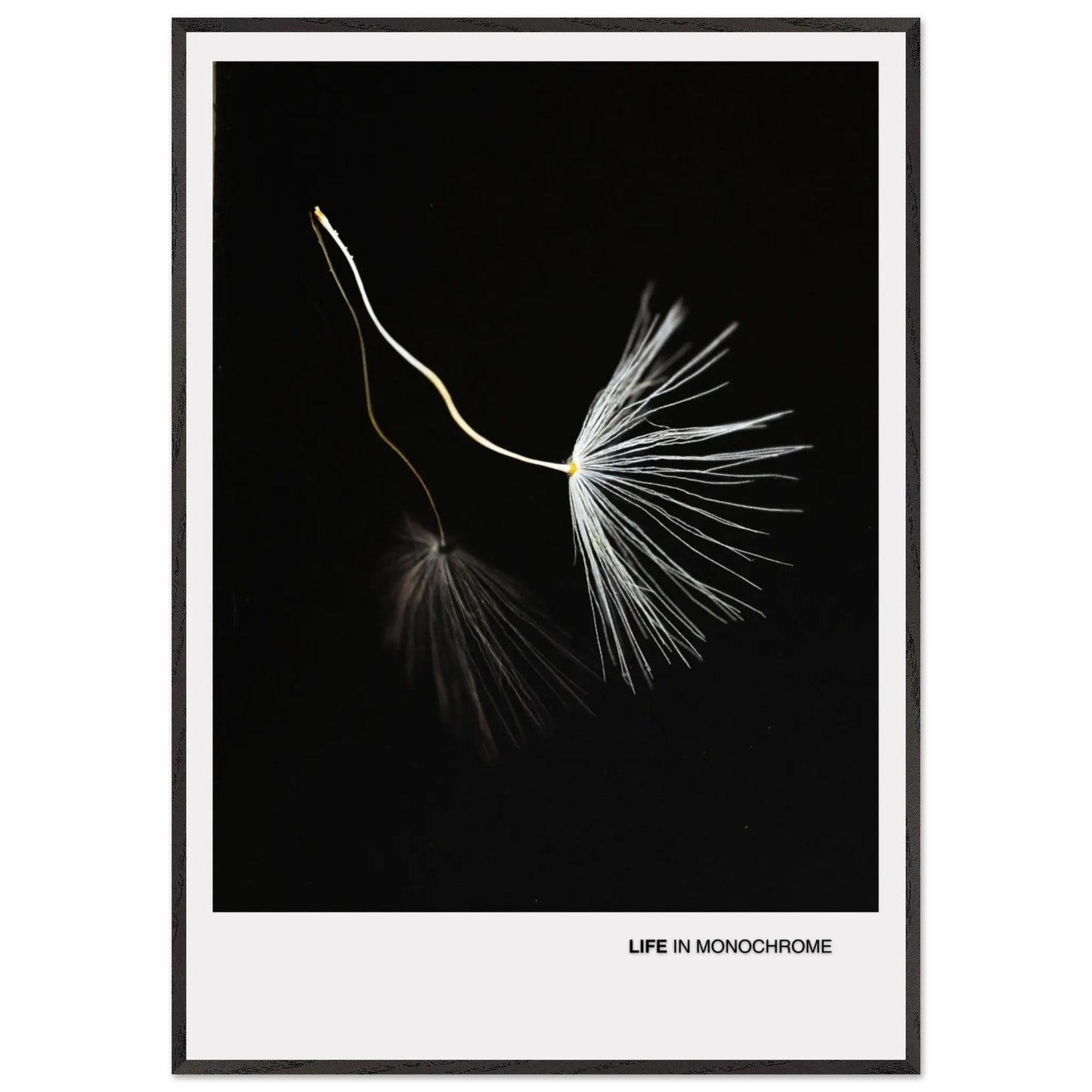 303ec86f-815a-4916-9f45-2c76d86af824