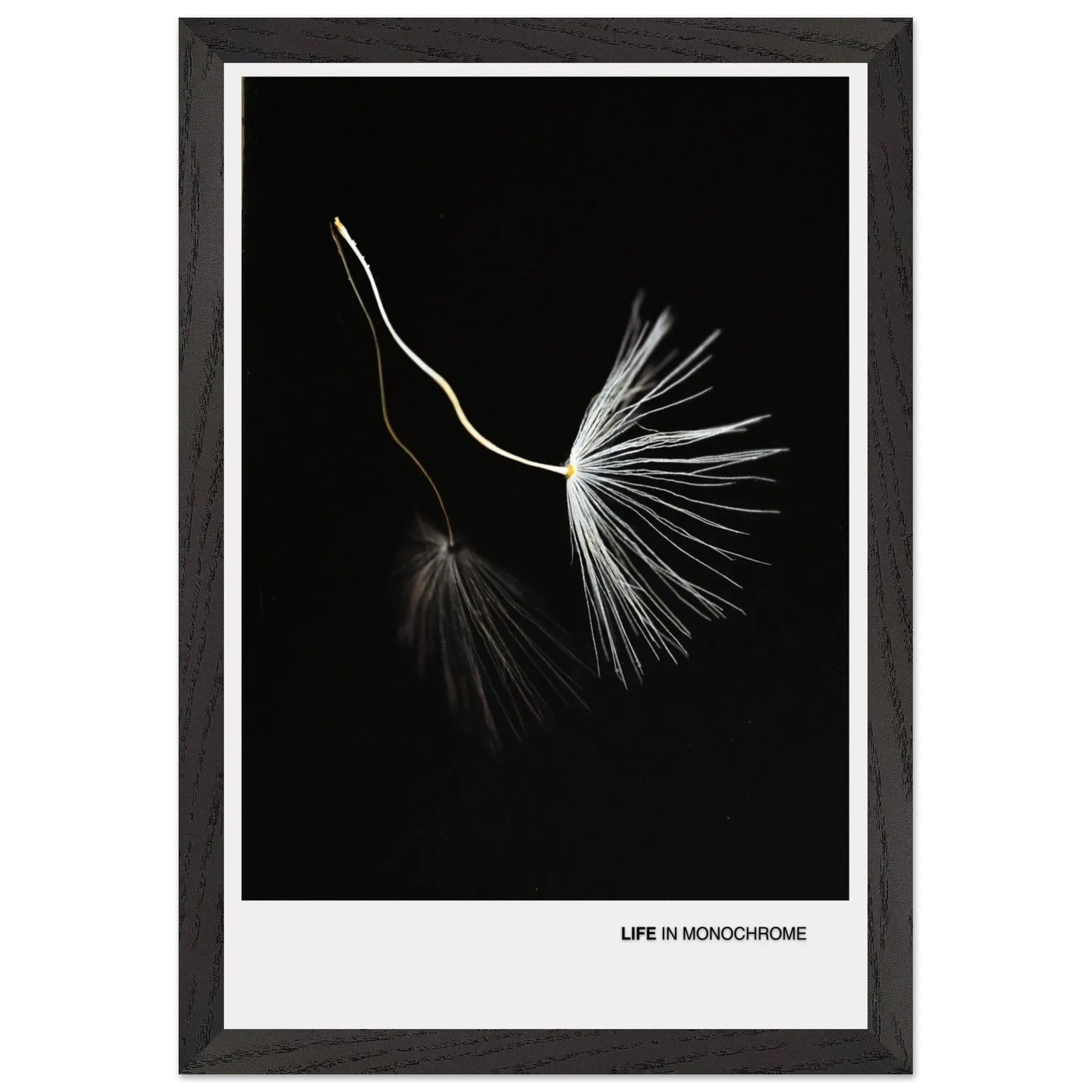 457f8cc3-a8c7-4aff-a66b-f6f0bf4b5e47