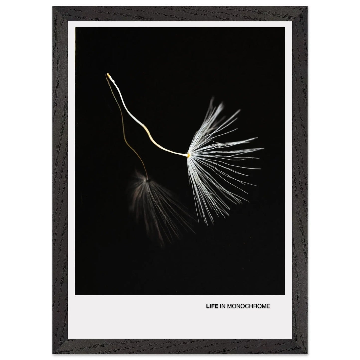 d0ced374-a2a3-4620-a8f6-70d9dc7e5b30