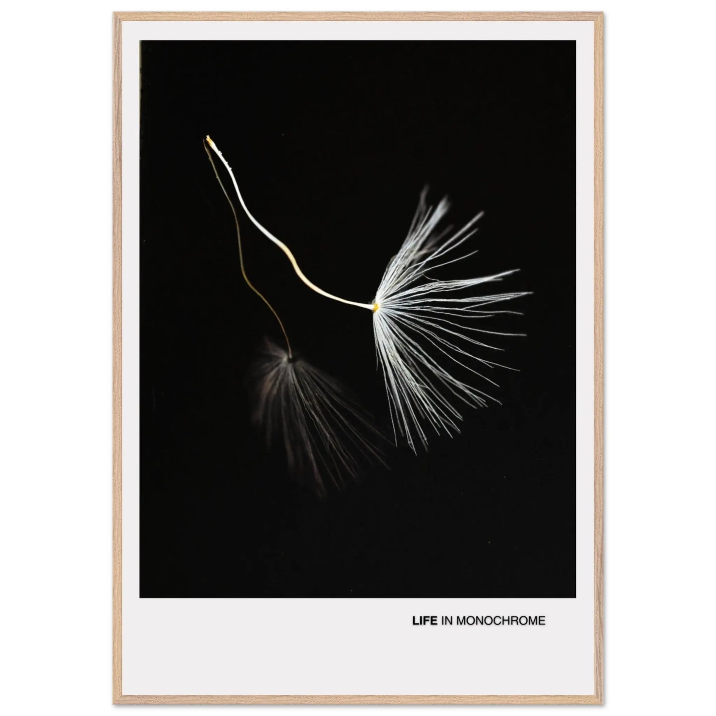 b38ae6e0-2df0-4fc3-b866-da0b1b743bf2