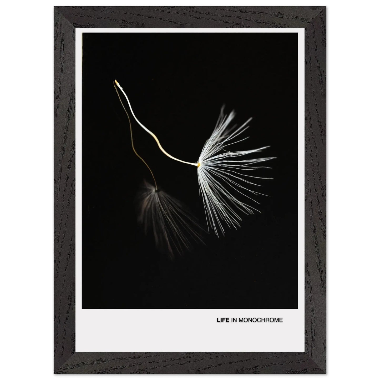 34fa62c1-9038-44ab-b23f-326aa5bea8b0