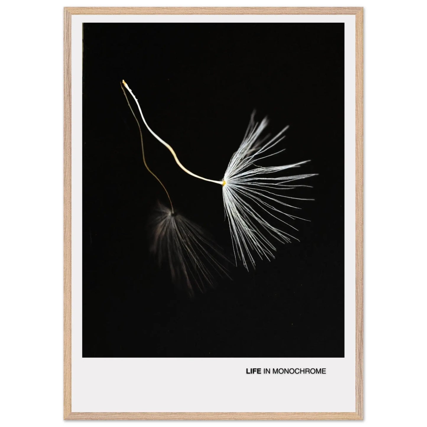 93c47987-e291-4e8a-a2fd-78c2bd6351c6