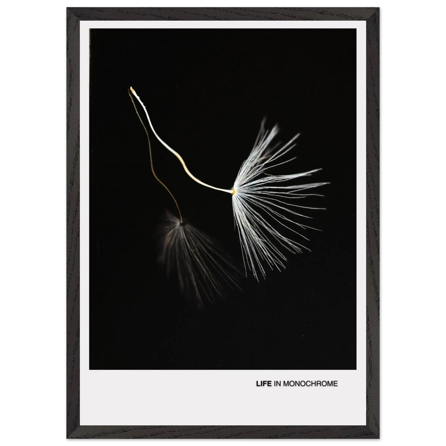 6e5d32c2-523c-4105-845b-ce2bcddce434