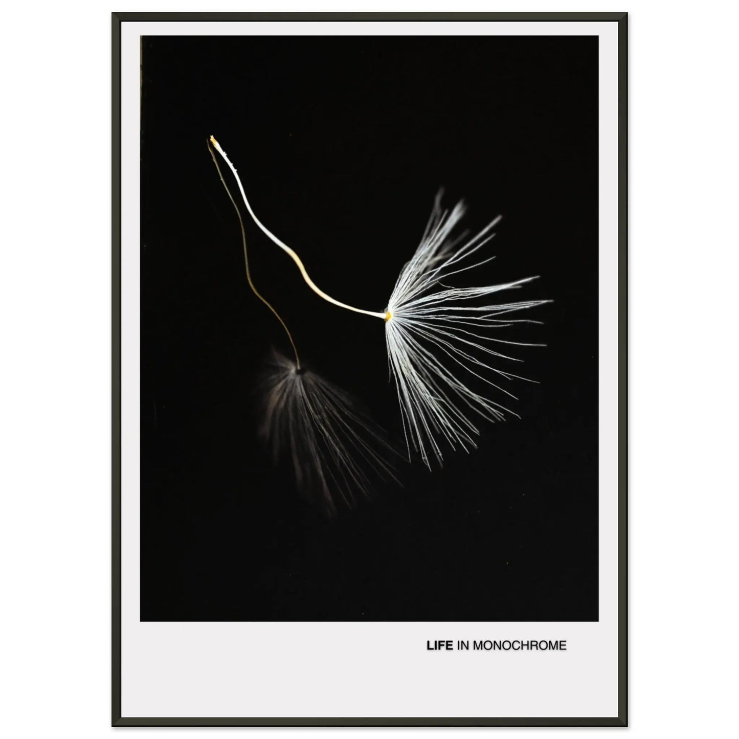 7591b2f8-7d73-4d44-a367-125d4344a936