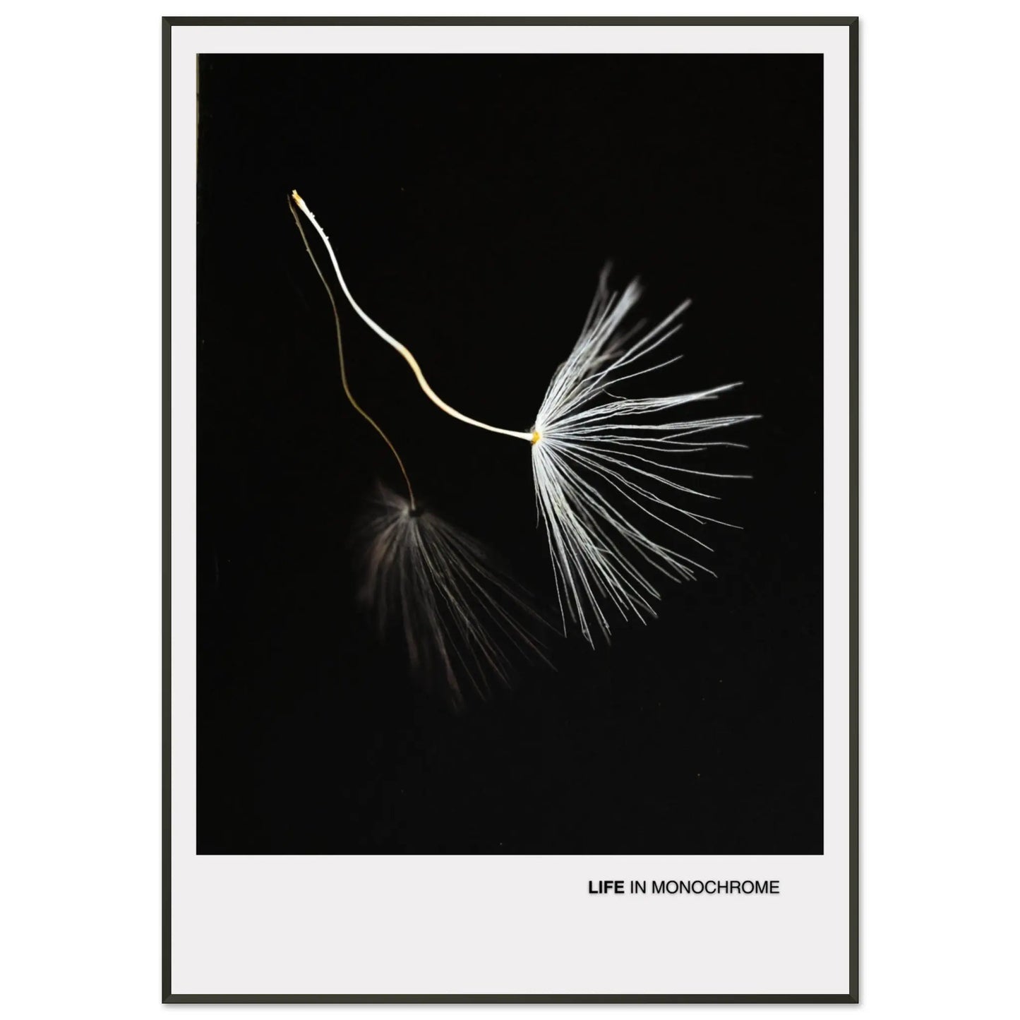 60a0a6a1-4101-4da3-bfaf-dd33eecdf717