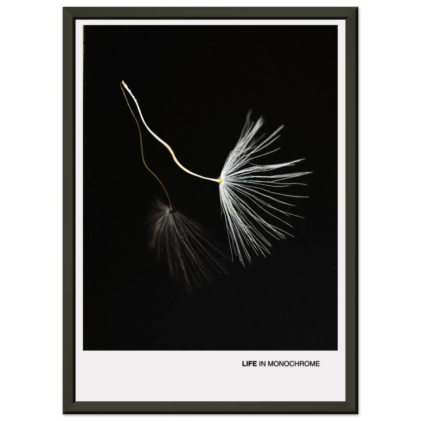 49d2829c-947c-49d3-8843-a704d8218b0c