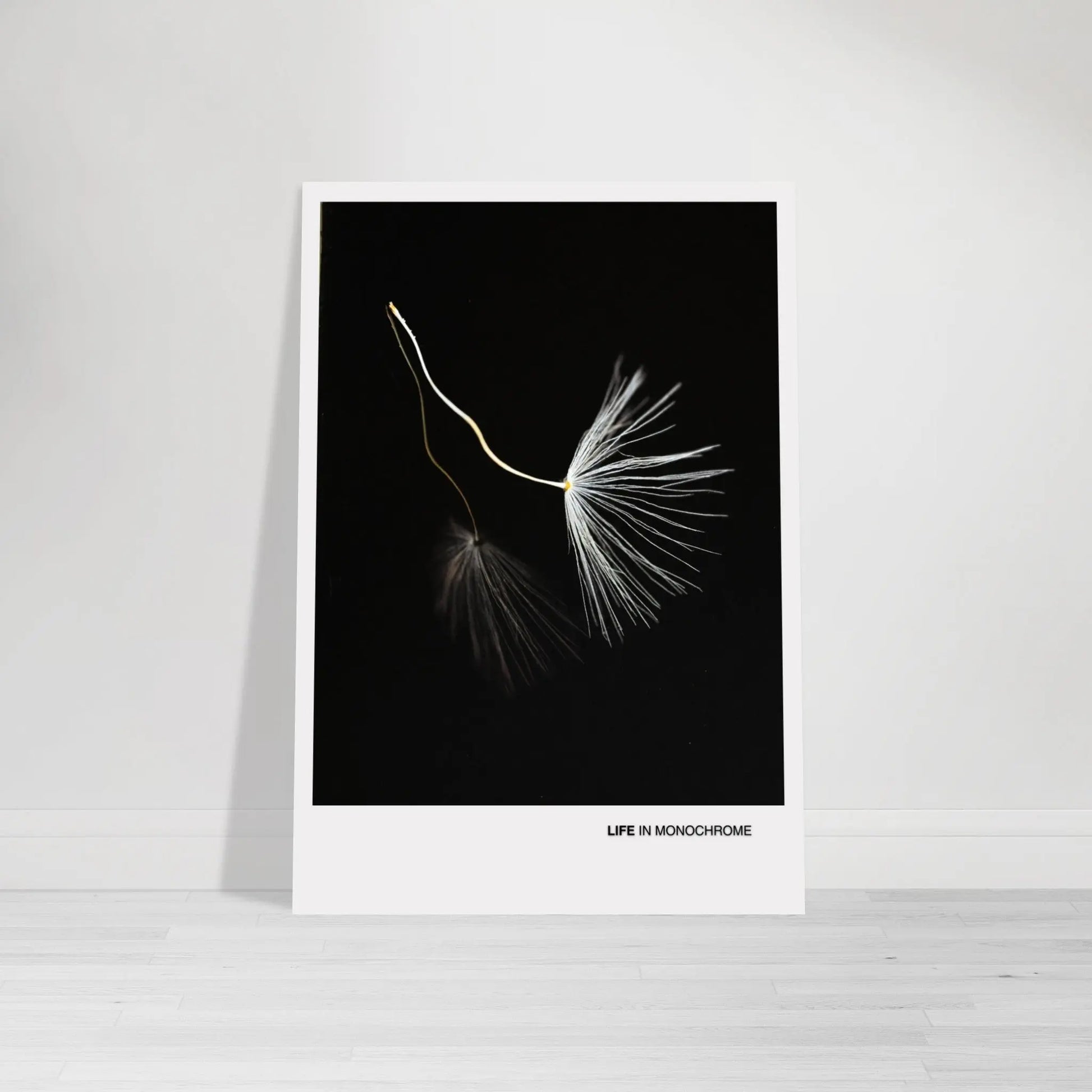 c43c8e5f-010f-496a-96ce-654bde82696e