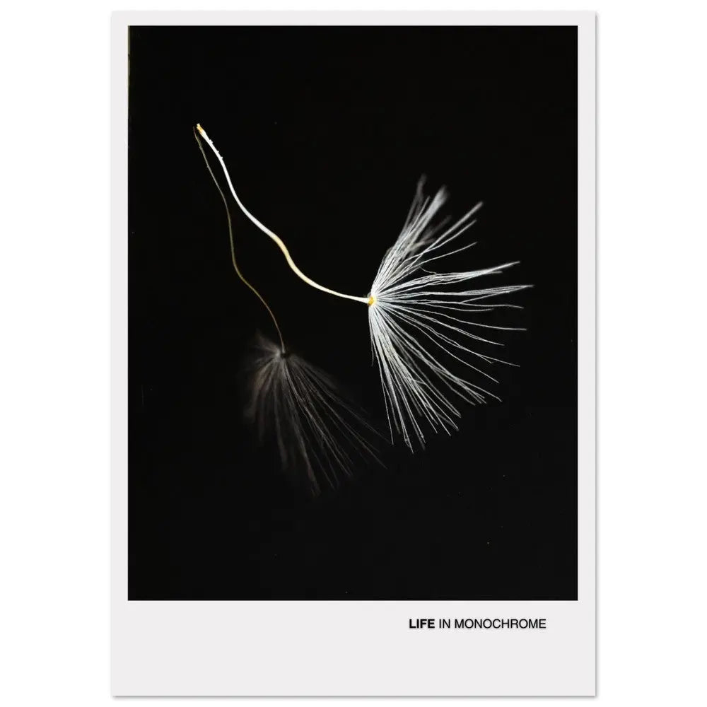 82c13a48-4390-4adf-8c72-b8af5f4677d1