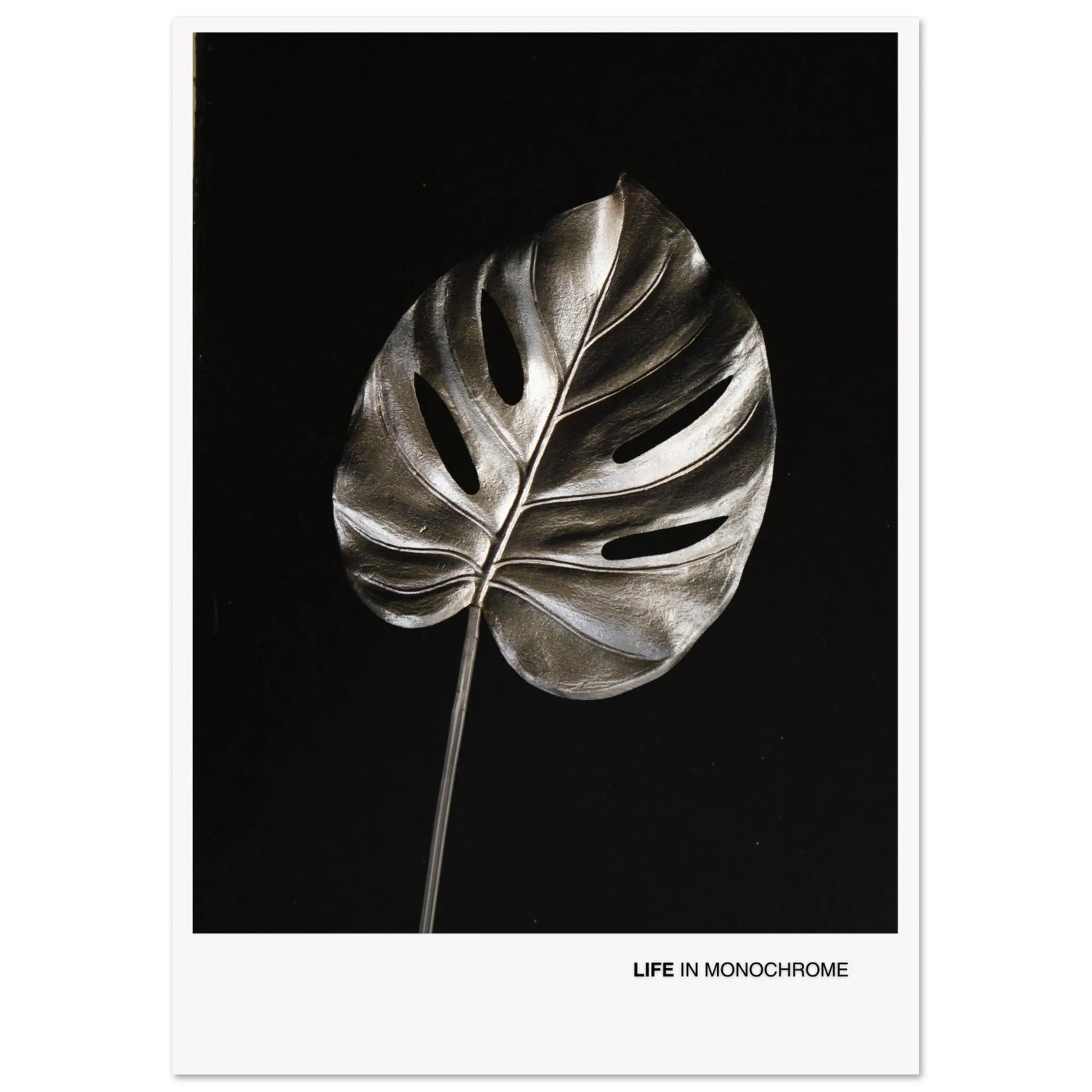 769fe46b-2451-4119-83e3-438d93fe04ae