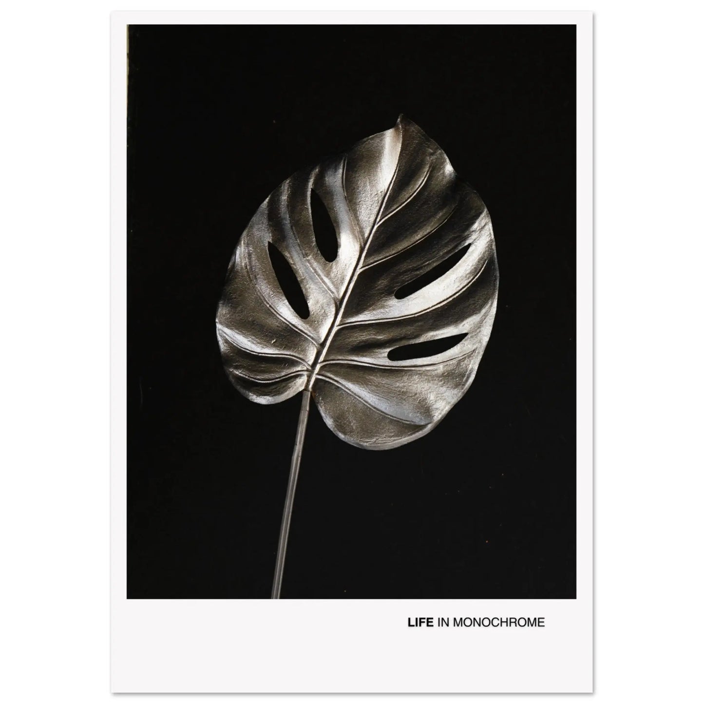 bed7e466-3301-462c-bc78-fe67a8817c74