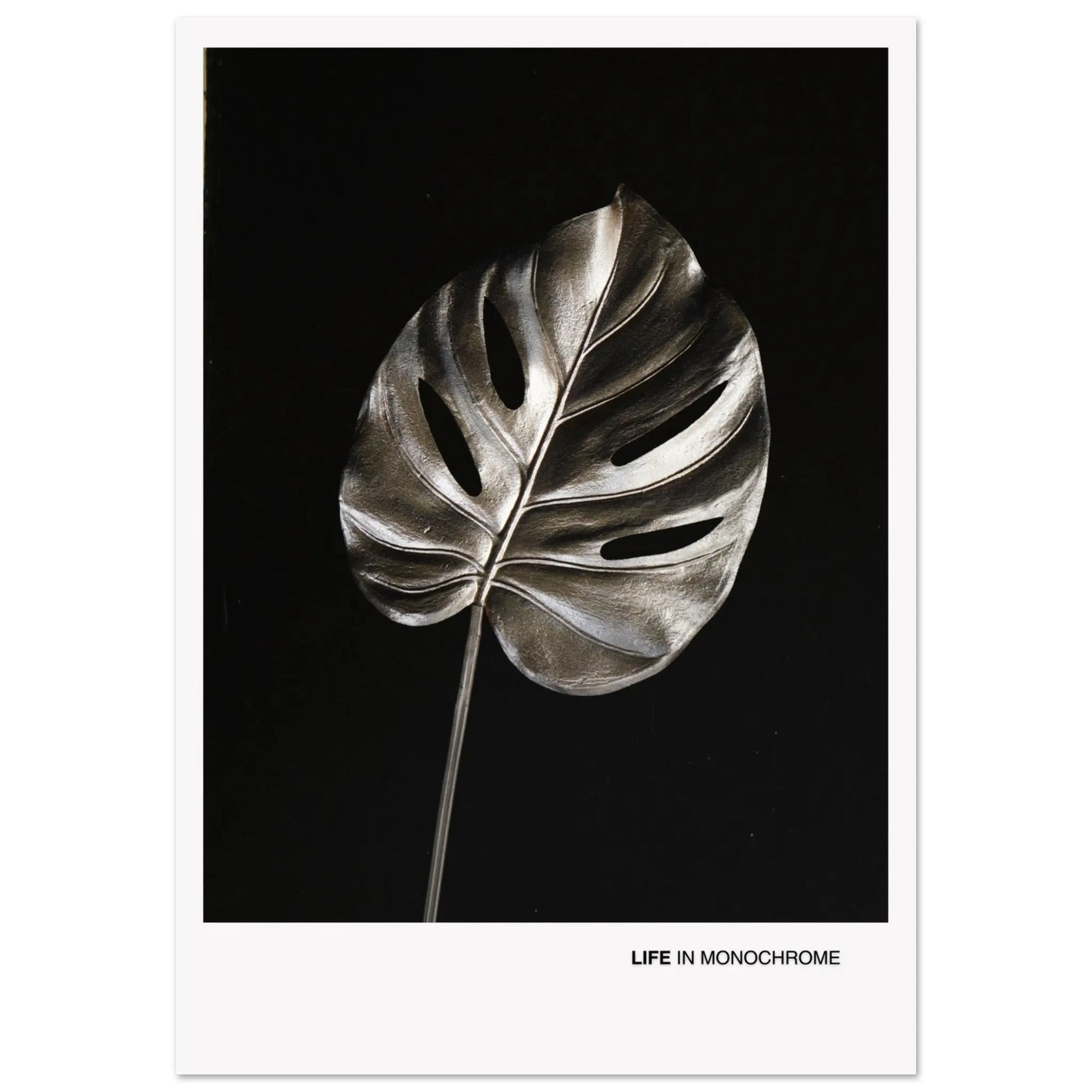 08a26ab3-dba3-4e76-9981-bcdb869a0b07