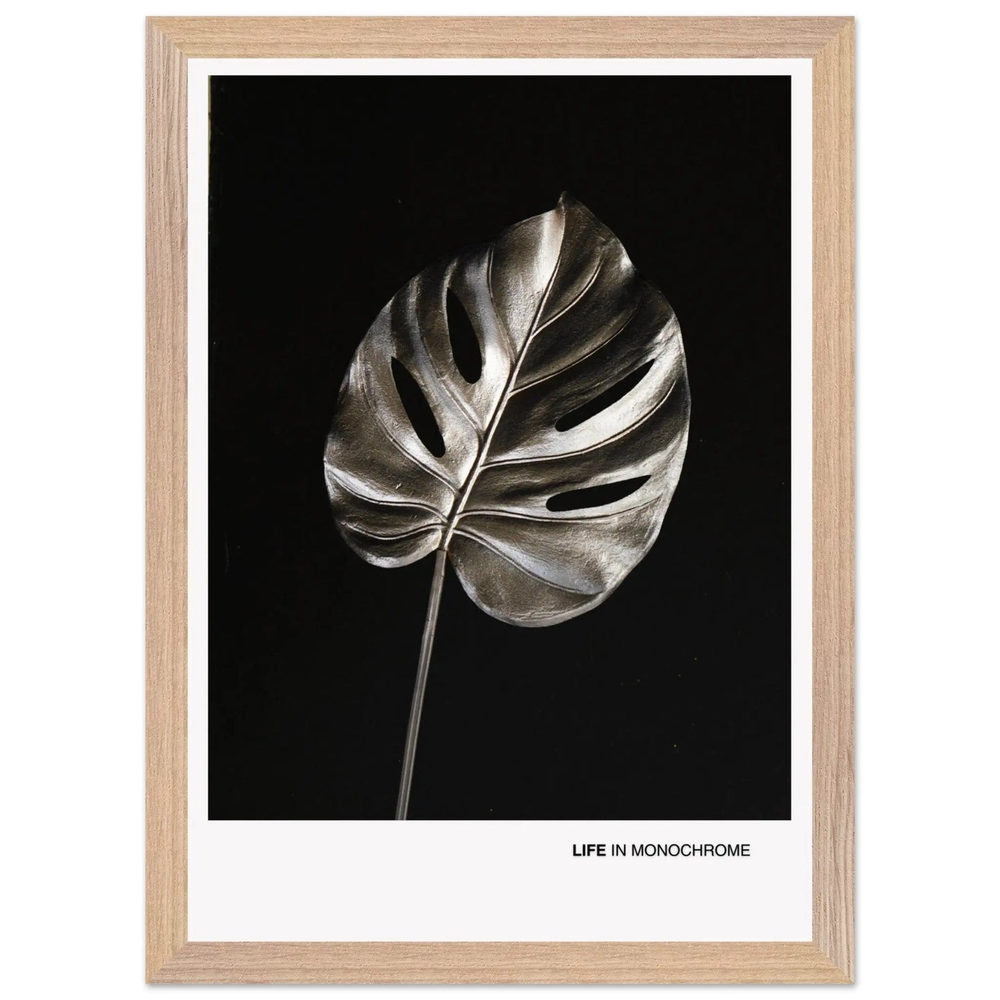 4d531ed1-5e3e-4a38-9aa5-c1e02fe69257