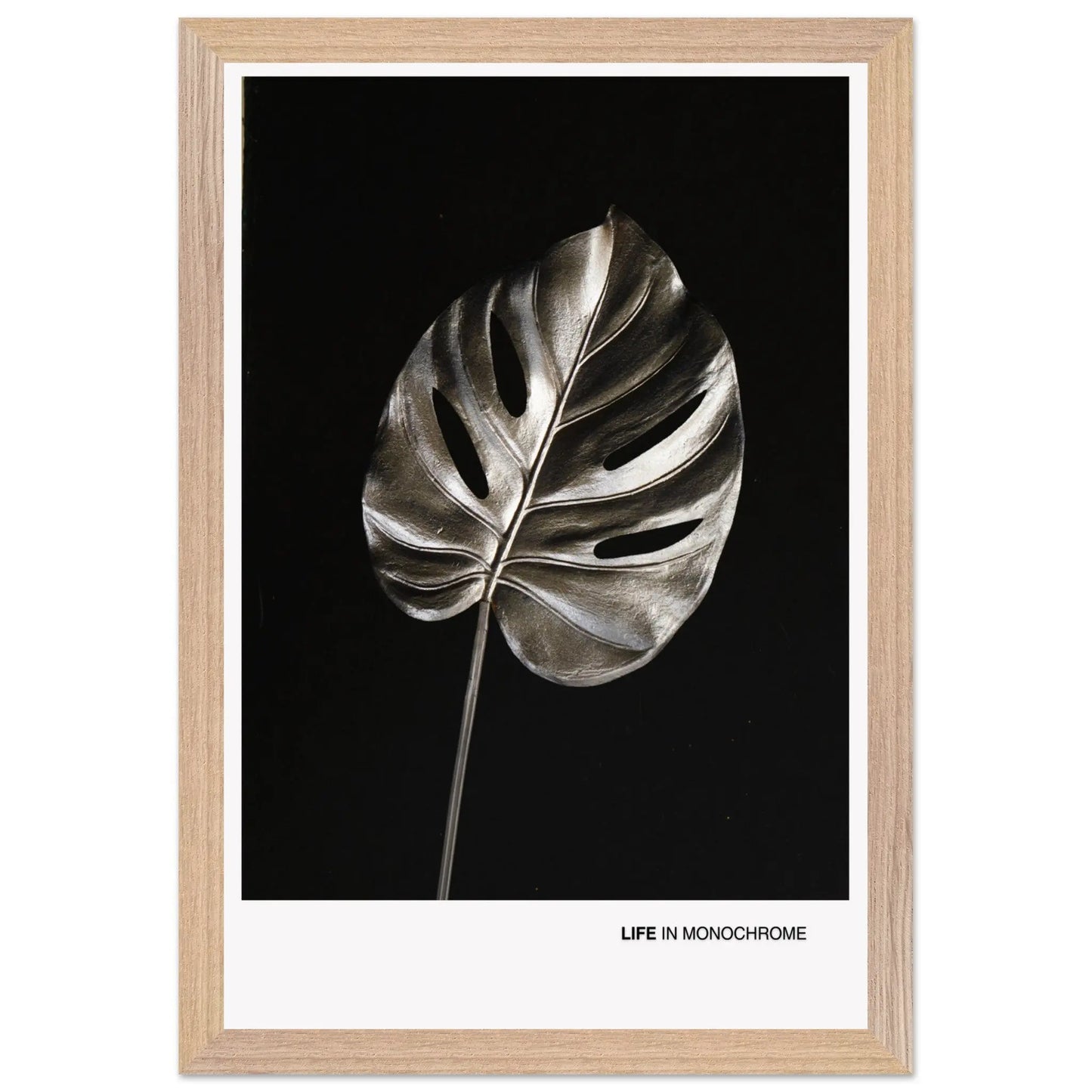 47850515-878d-4c80-9d48-ec095eed601c