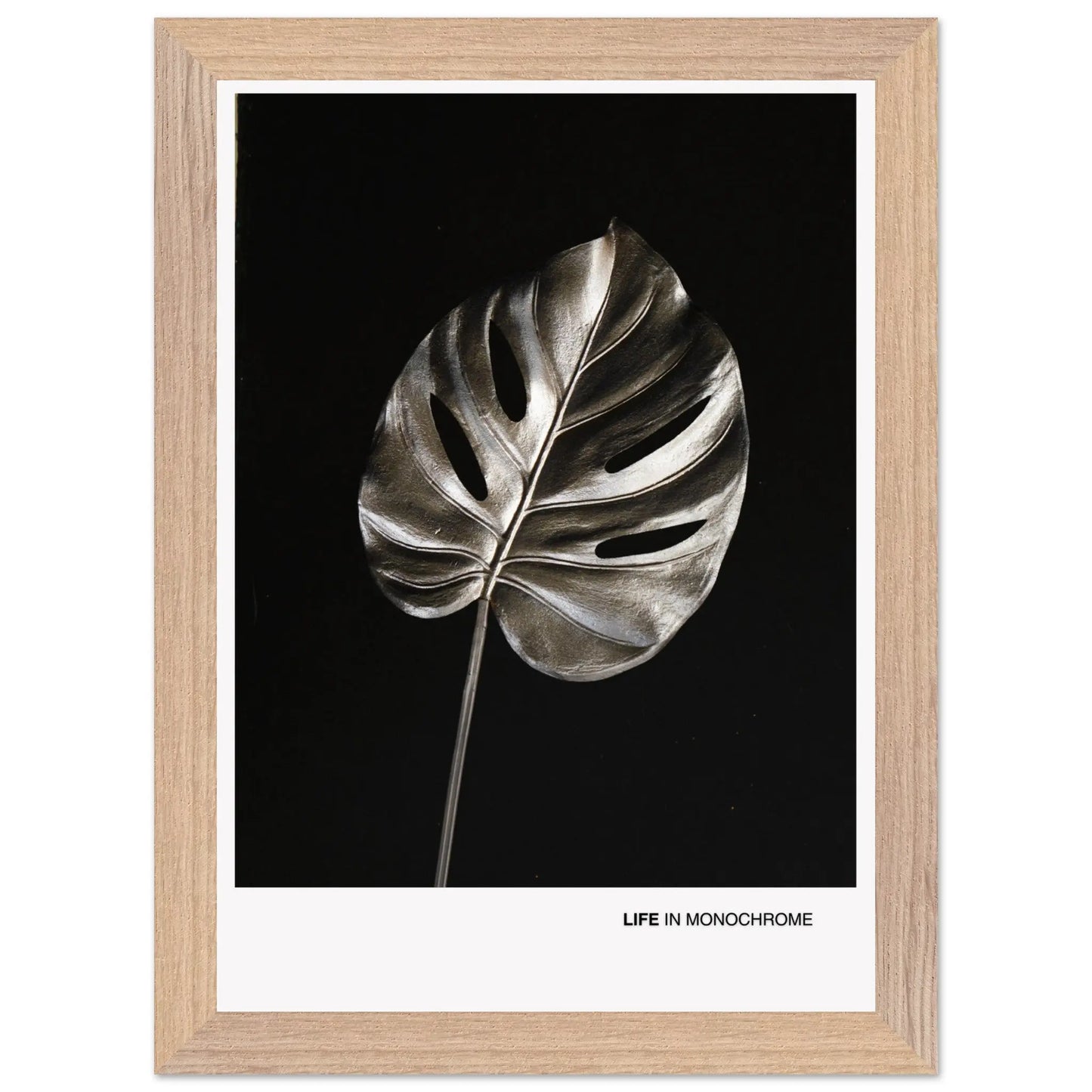 28c14c4d-96a2-4822-8220-603a95005265