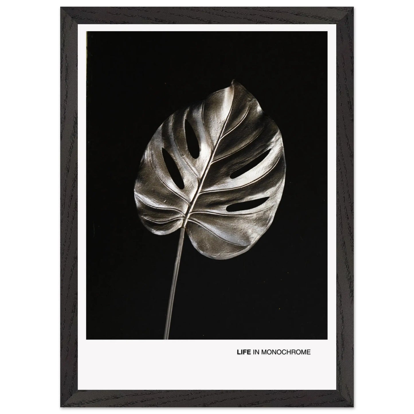 7728597d-e409-44ee-86d8-f8b3b130b1d5