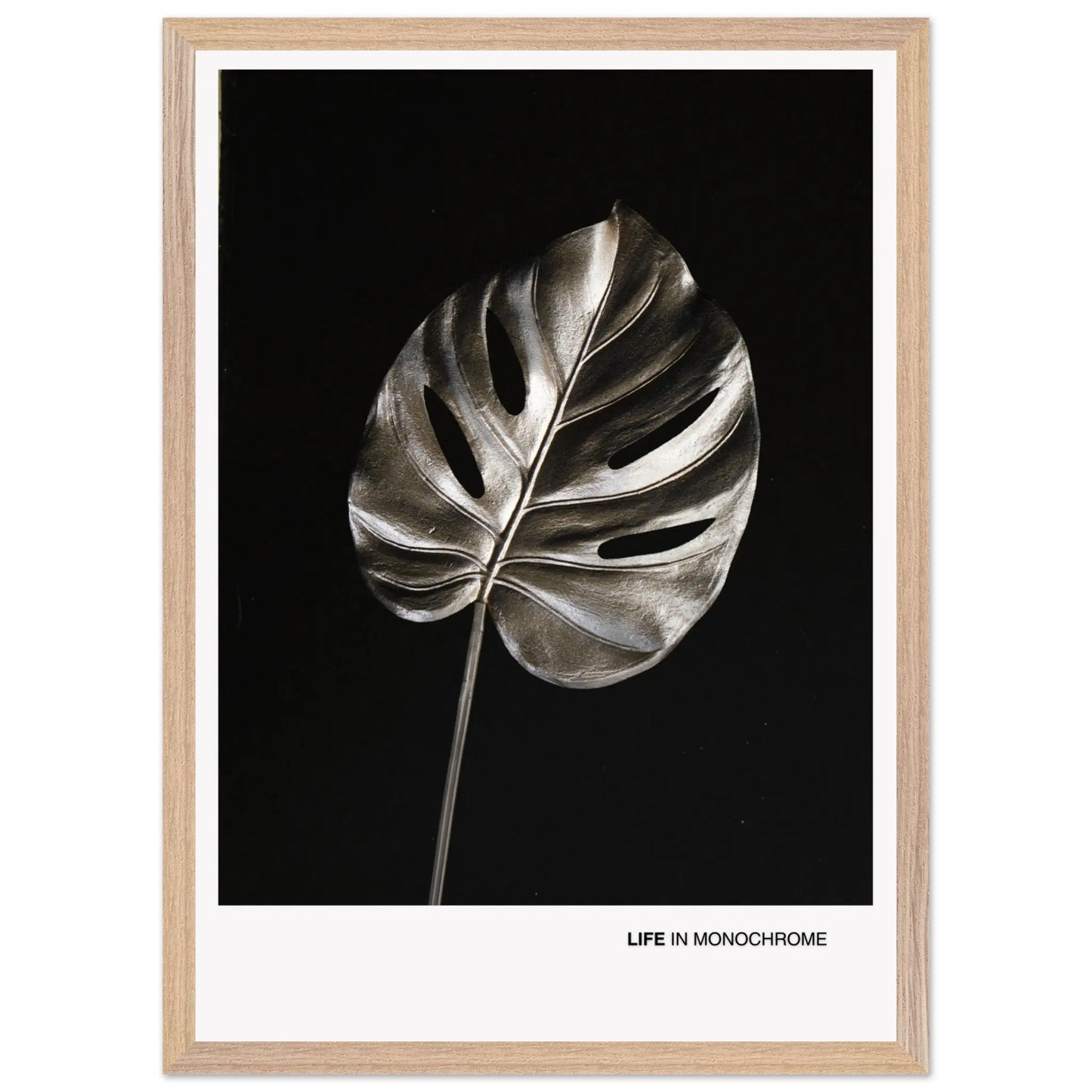 b23ee679-42c6-4273-ae22-c46a4a2c3ffd