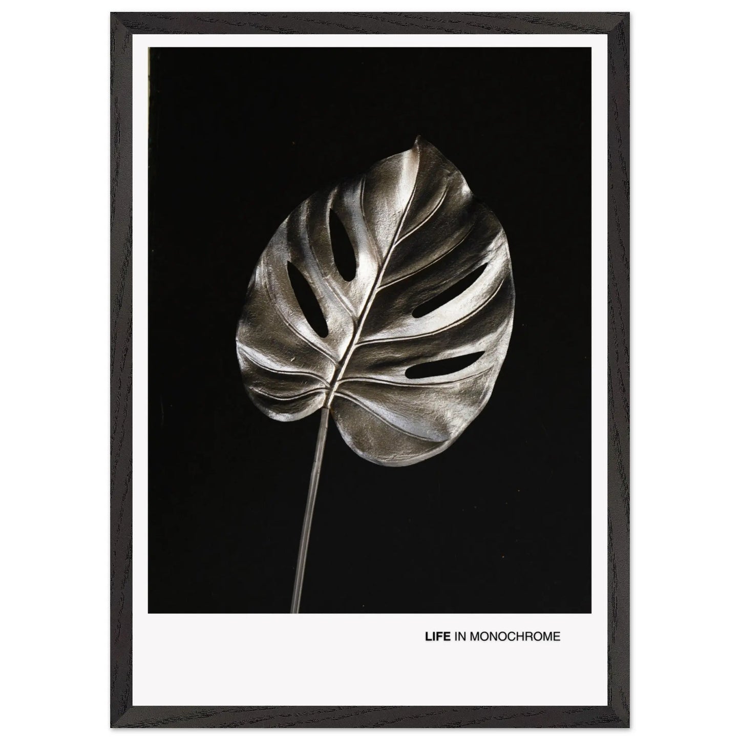 4e2dc472-be5f-445c-8933-8b59f442b377