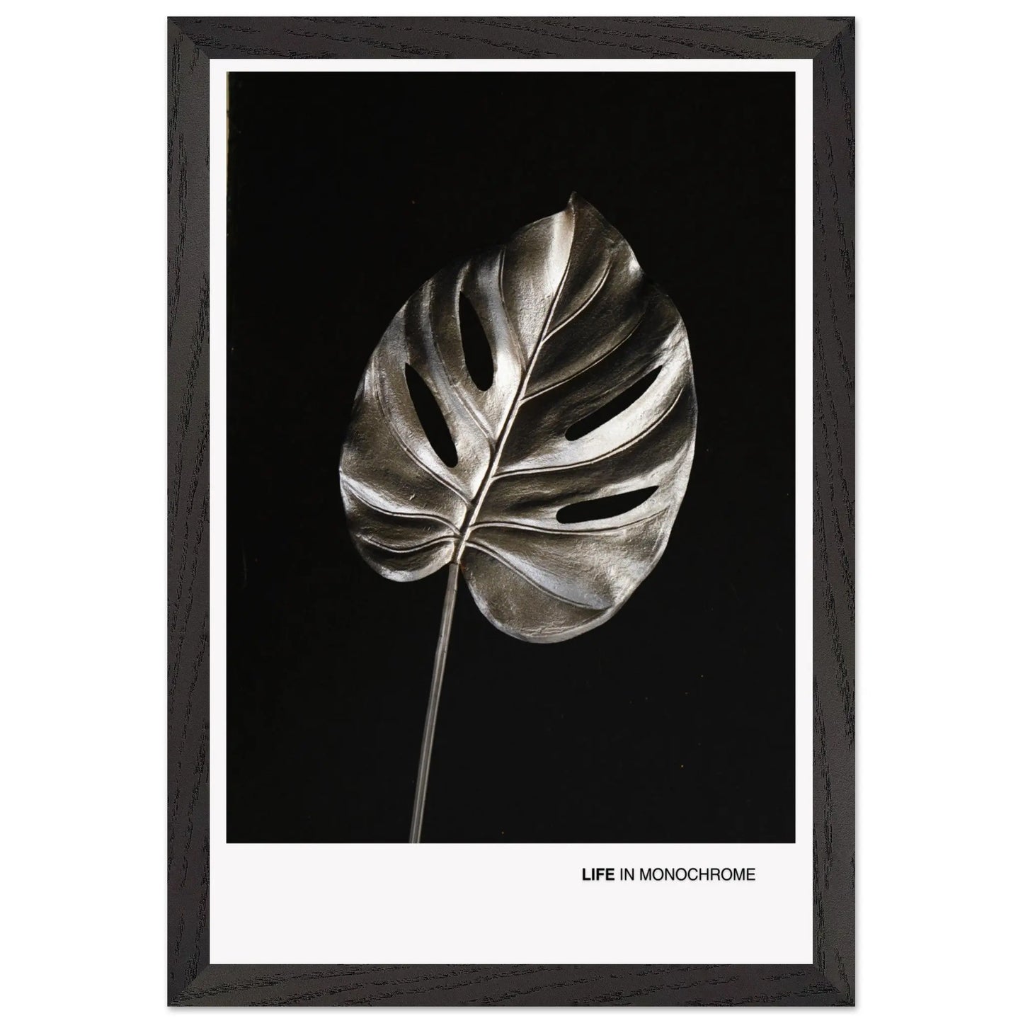 181af36f-28f1-45f5-a015-704ea9b5d9d1