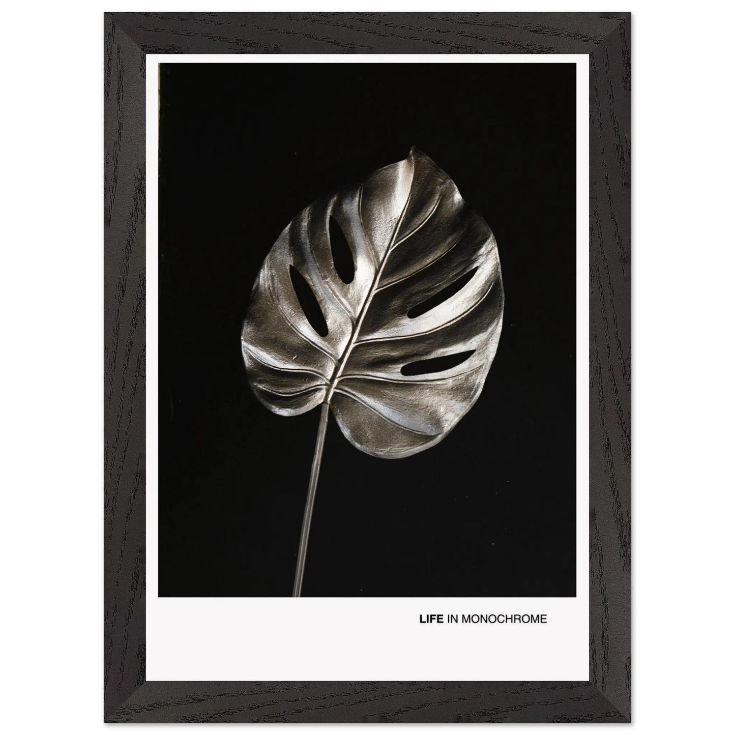 a099c033-3c77-4ccb-9f4b-2dd23b727e2d