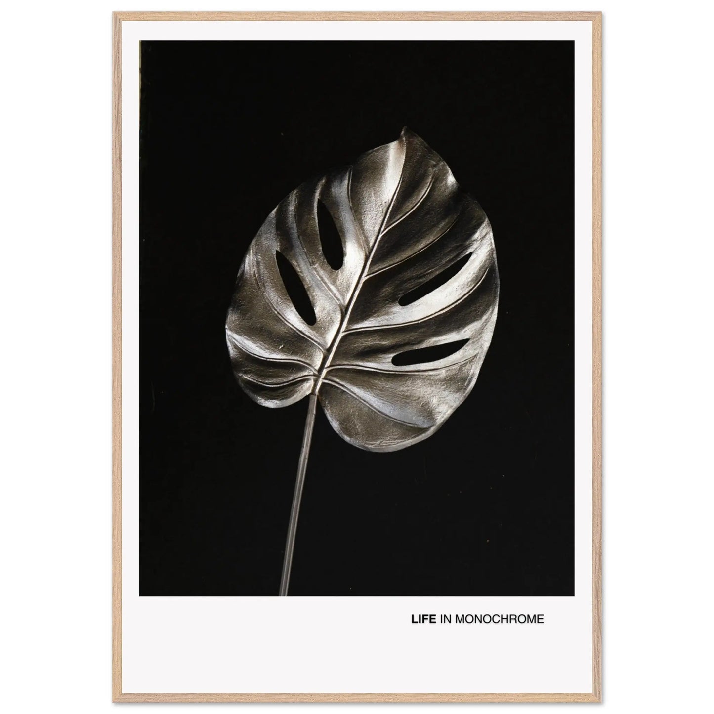 0b5bef2f-4cc9-4548-b6fe-d36ddf26293c