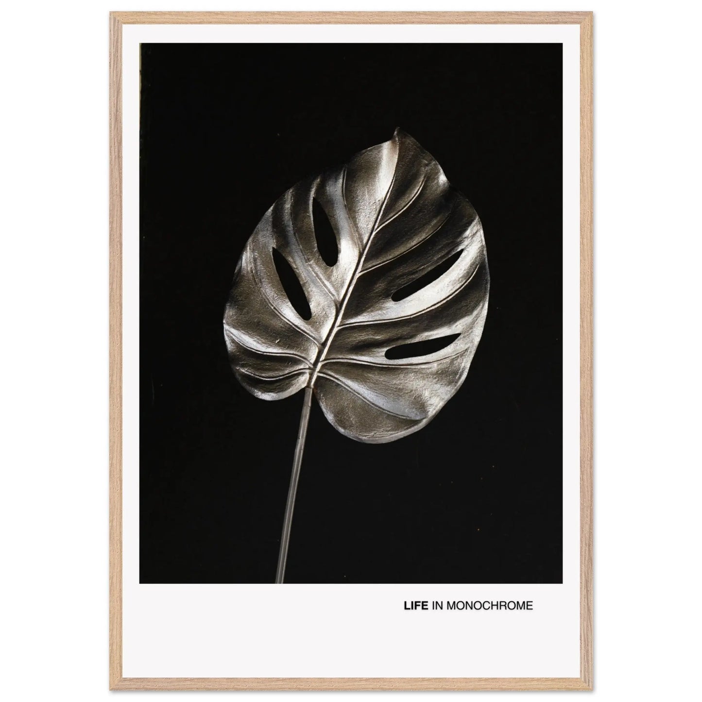 f9e4cd9b-4ca1-4941-9263-ebc0c55f674e