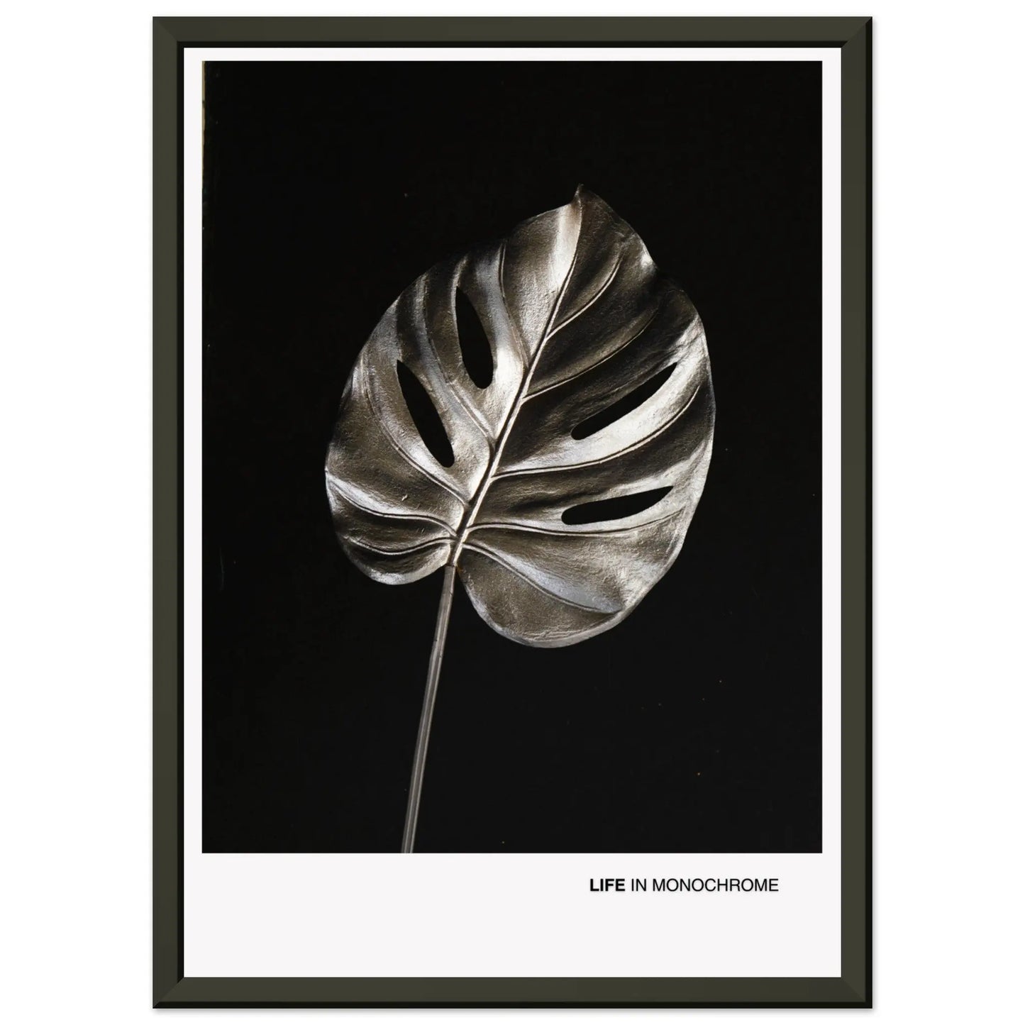 1e121c77-99e4-41b7-8775-504bbe607122