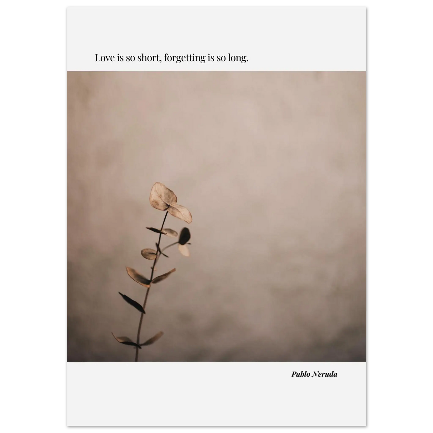 dceae4e2-de44-4e29-aaac-b54786d39c71