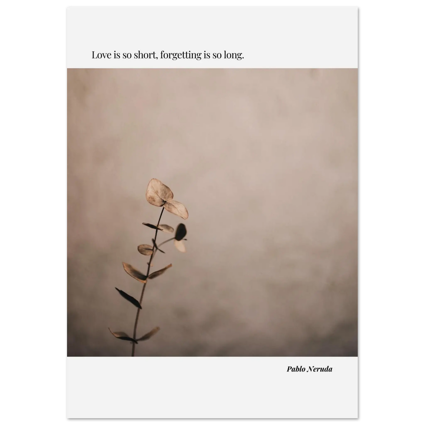 a8d4f8da-948c-4deb-98c1-afd5a9b432d9