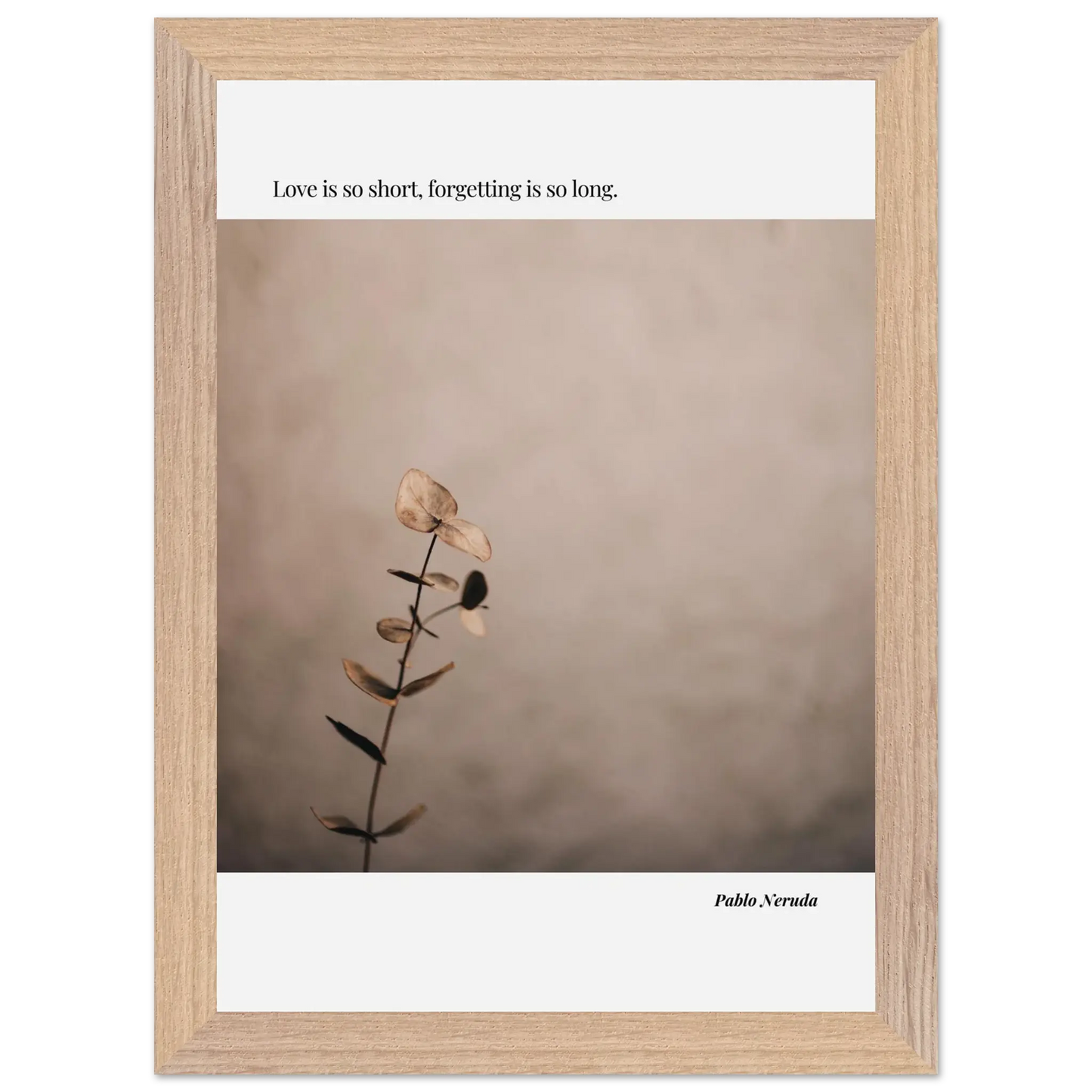 20d999e4-de67-4f6f-8300-1e482c31905d