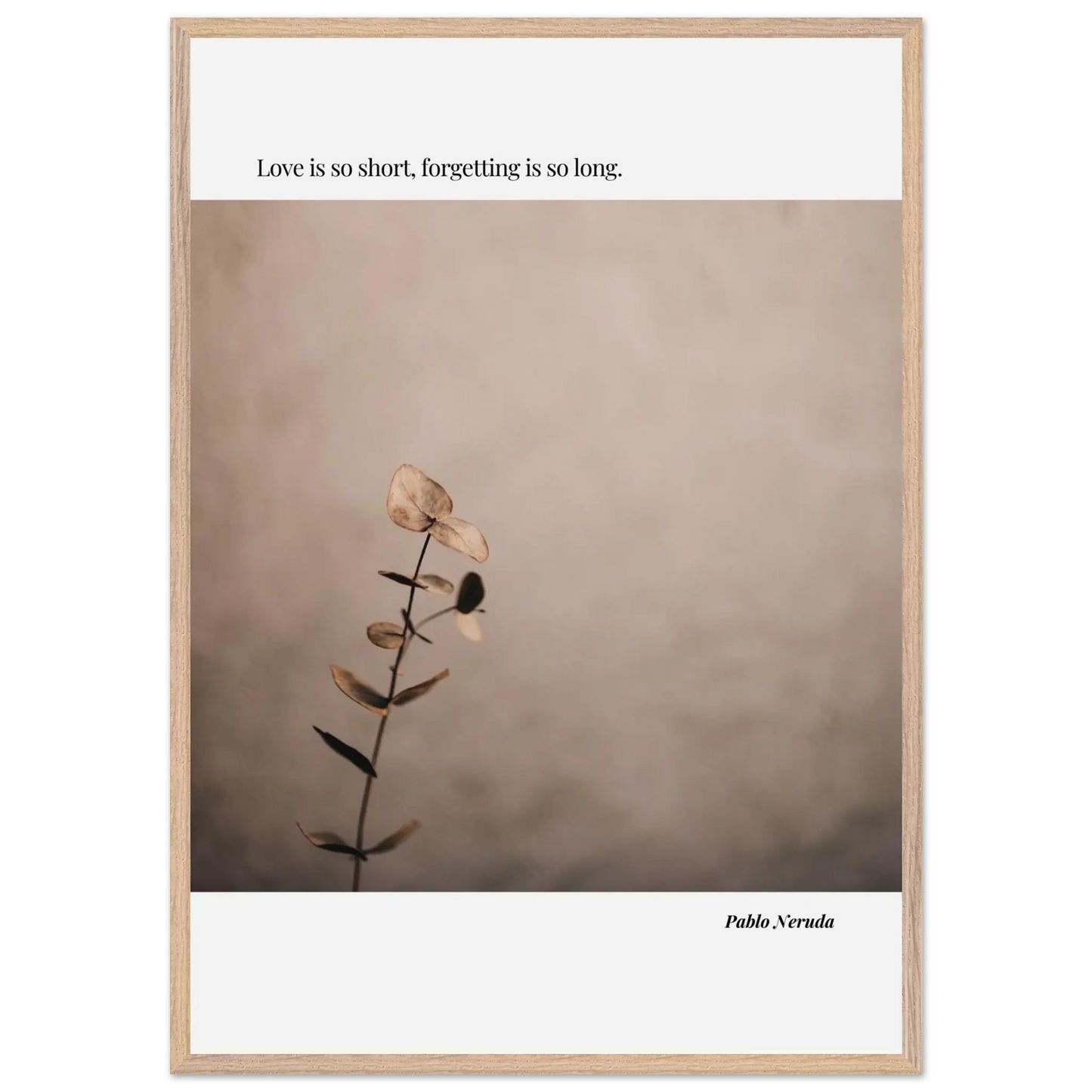 c9fde877-edd0-473a-8eb5-9d4d7c4470b2