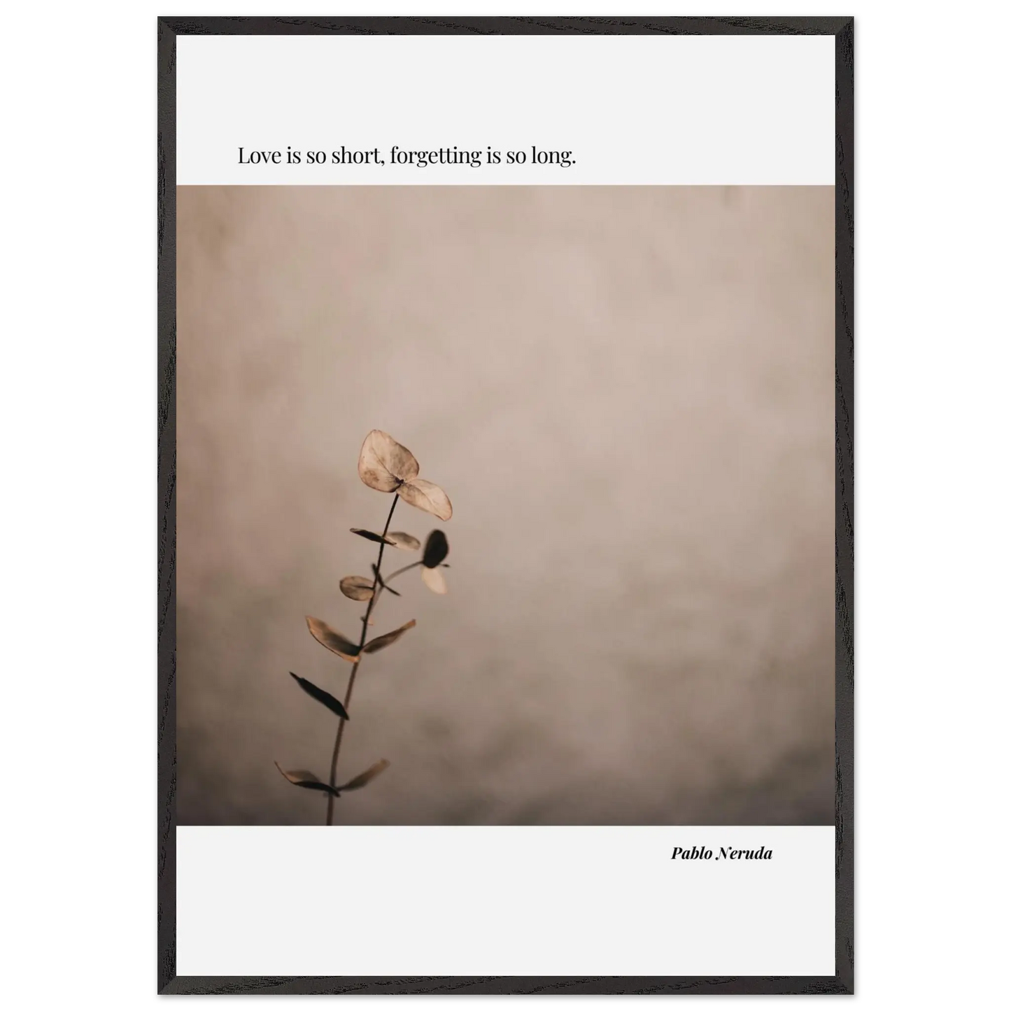 7973d1ce-0620-40a2-a788-9b747271024c