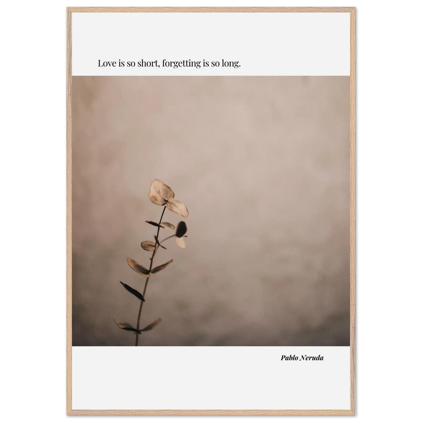 2742bad1-dd21-44fd-81b1-55952073b777