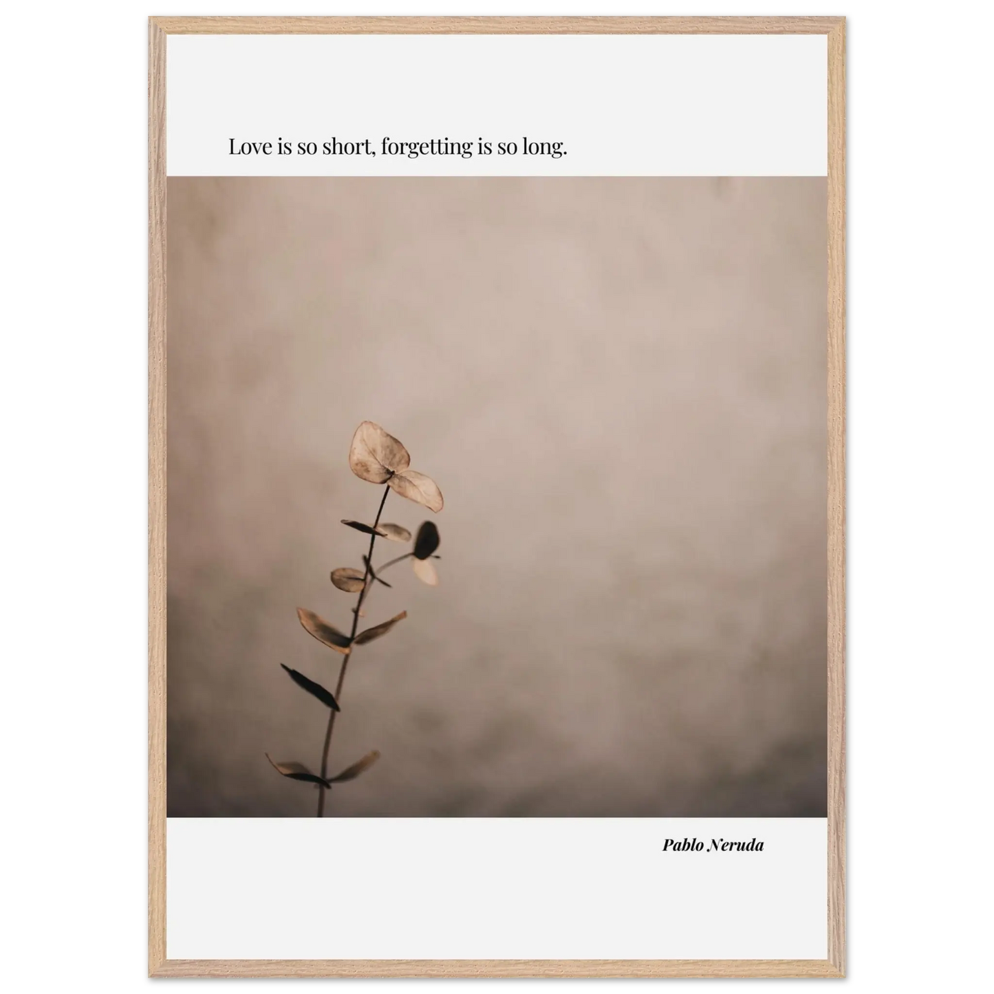 64e28c41-4c5e-48a9-88a9-bef6fa15a1f4