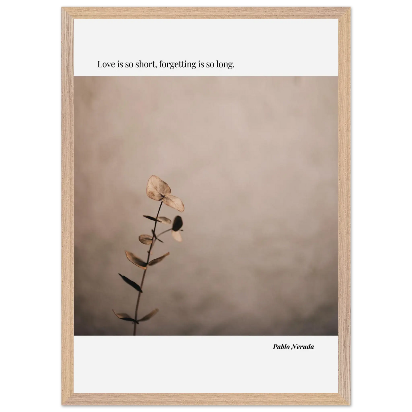 88e1097b-d3ba-4888-8336-5cf343acf64a