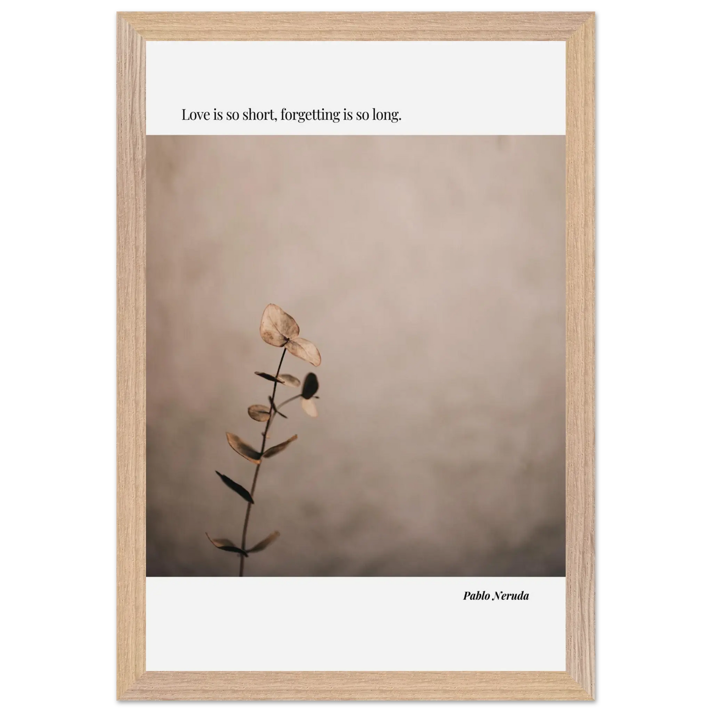 fdc76b2d-d36a-4dd1-9521-bfd7bfe34d2c