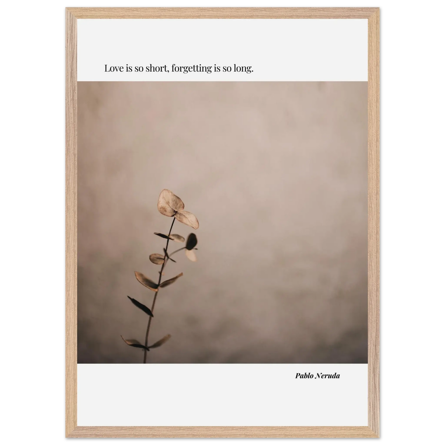 699266cb-d3b9-450d-bb50-301ec221f123