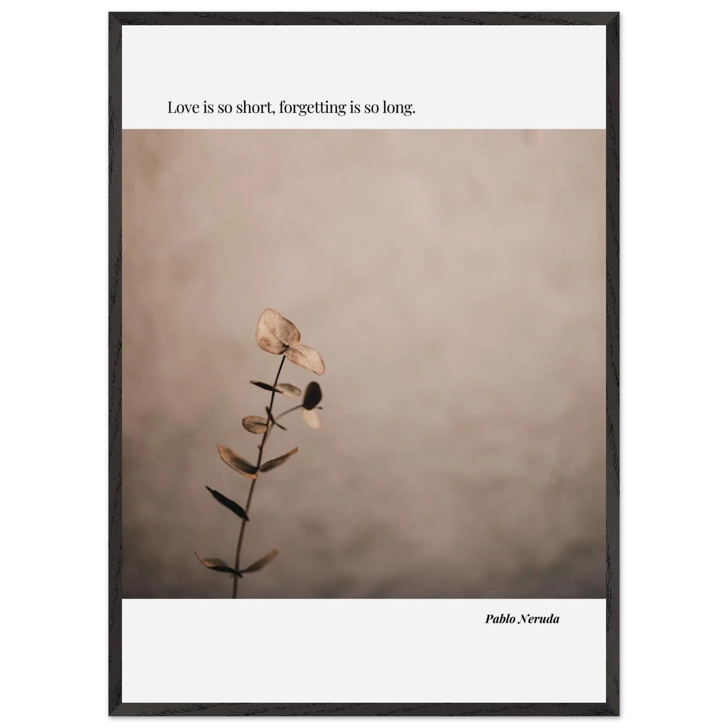 fc7e557b-0cd5-41d9-8842-8a4f09cd3431