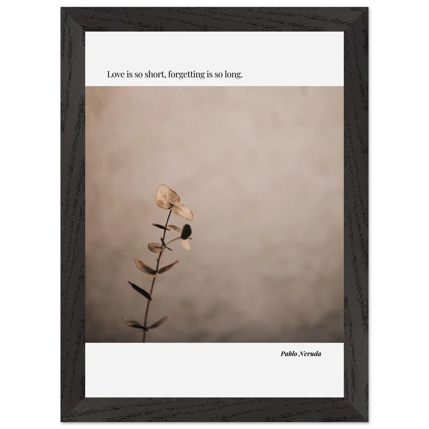 b53e2a74-3ed6-4895-89d9-5f769cc0970c