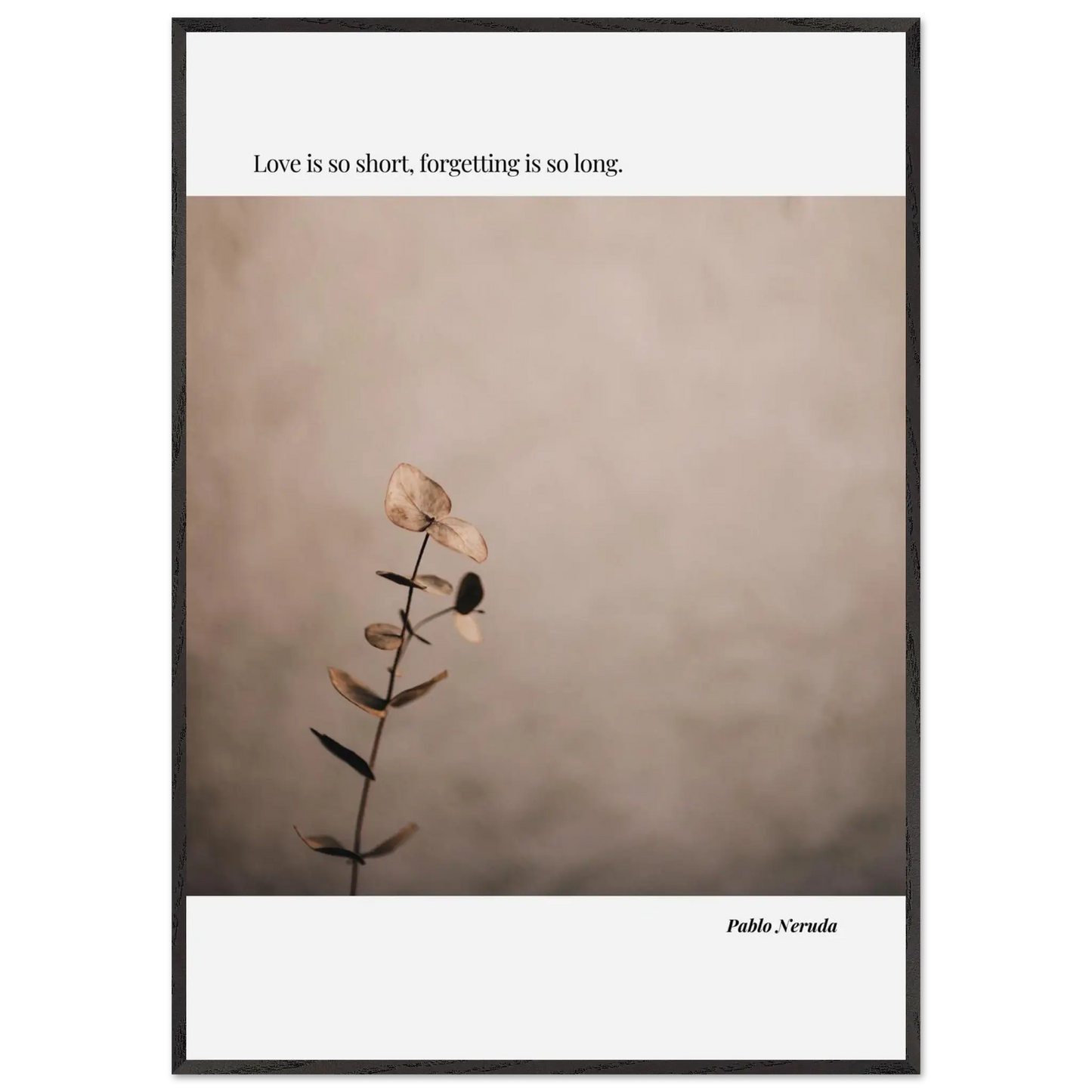 852f8f77-f6ad-4b9d-a849-507b3b2c4822