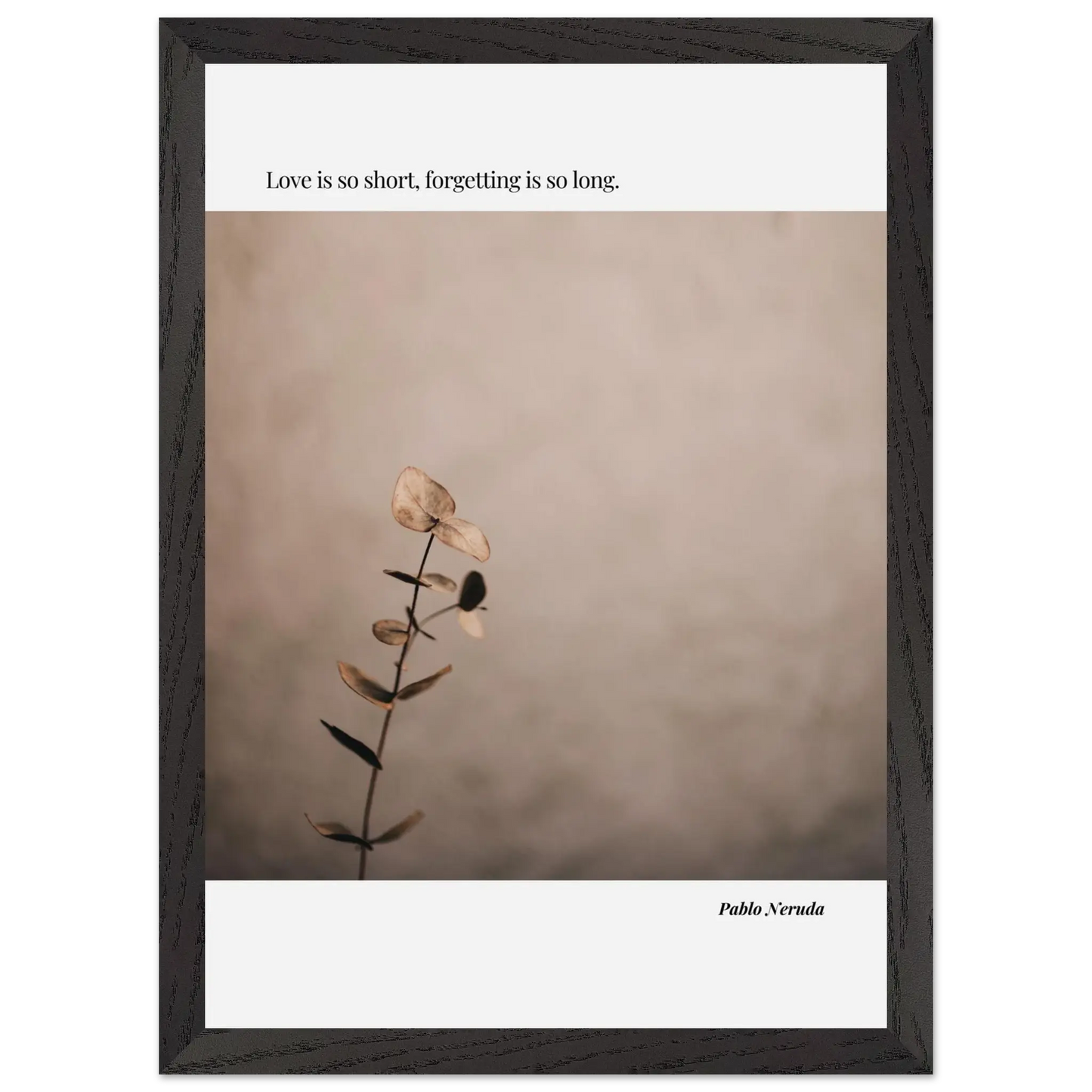 32b9004e-26dd-49f6-9346-9a519d71ac7b