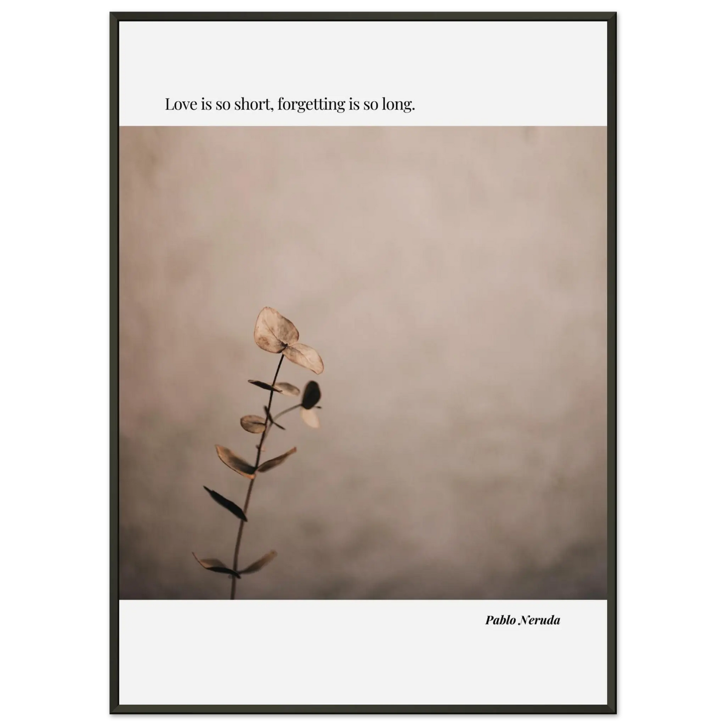 f717d56d-fe0b-483d-9ca3-a03f404f2c86