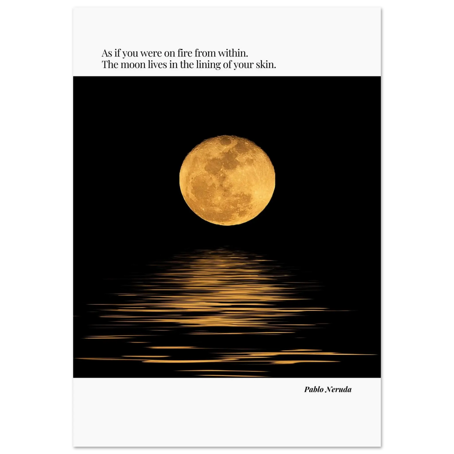 adec7555-a95c-4464-bd2b-0dc9aec18fcb