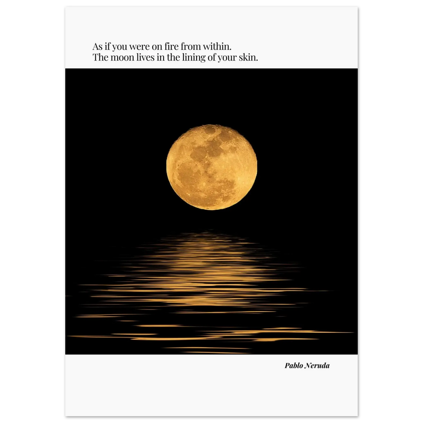 d11ec2ac-d9db-4a1c-8382-874f0c4529e4