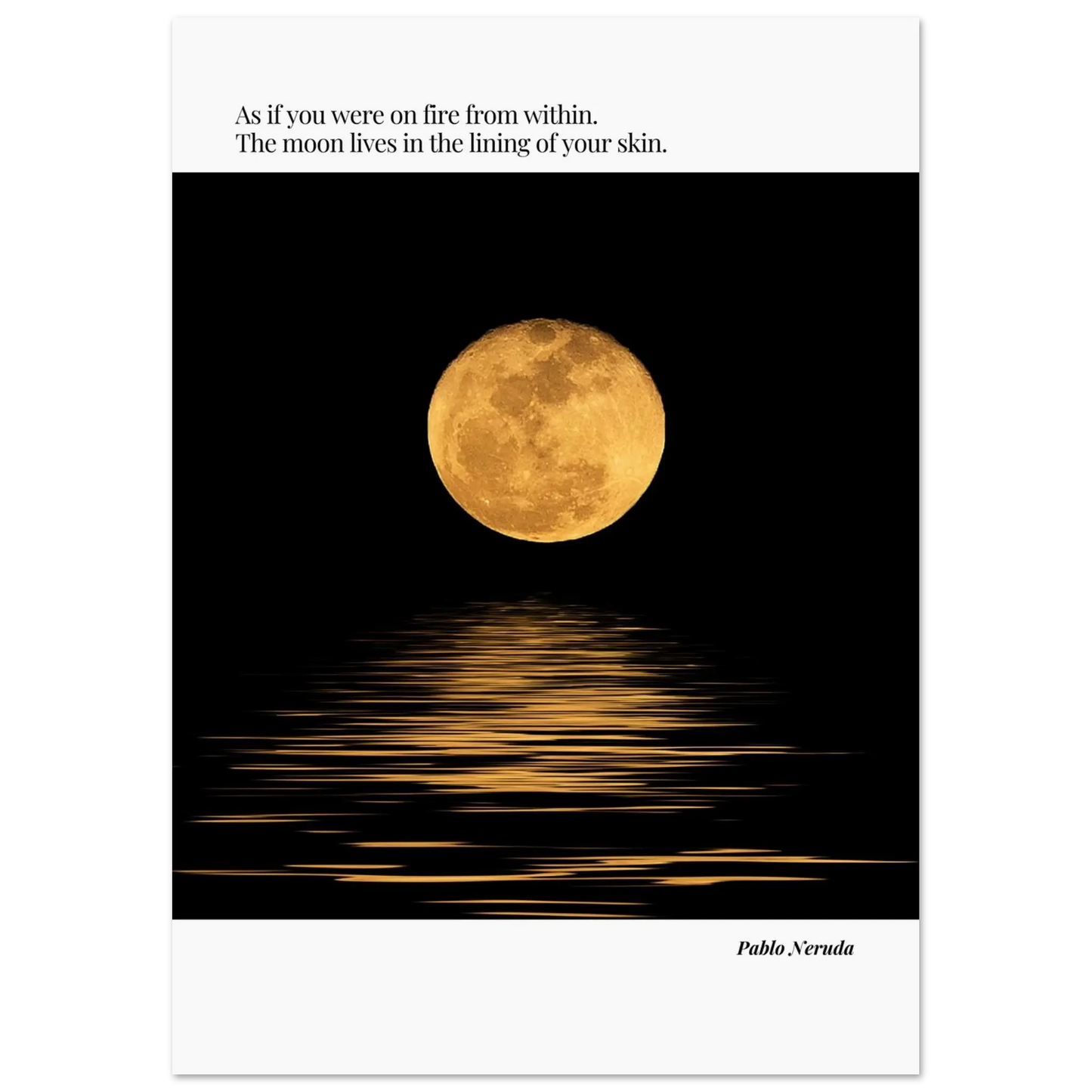 bb18953d-bbf3-486b-b187-1ddde4039cbc