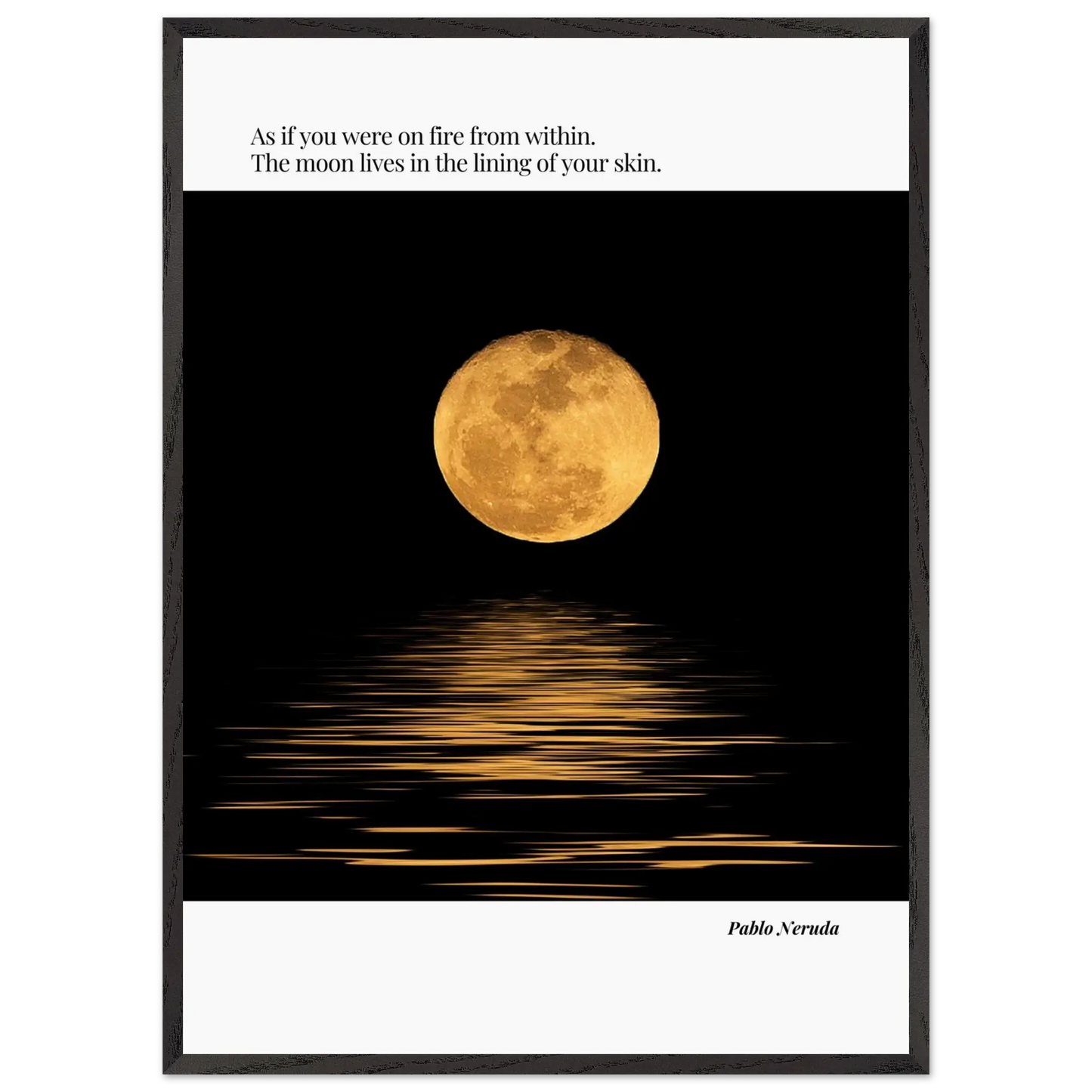 c031eeeb-6a88-439c-ab96-e695cc5f544a