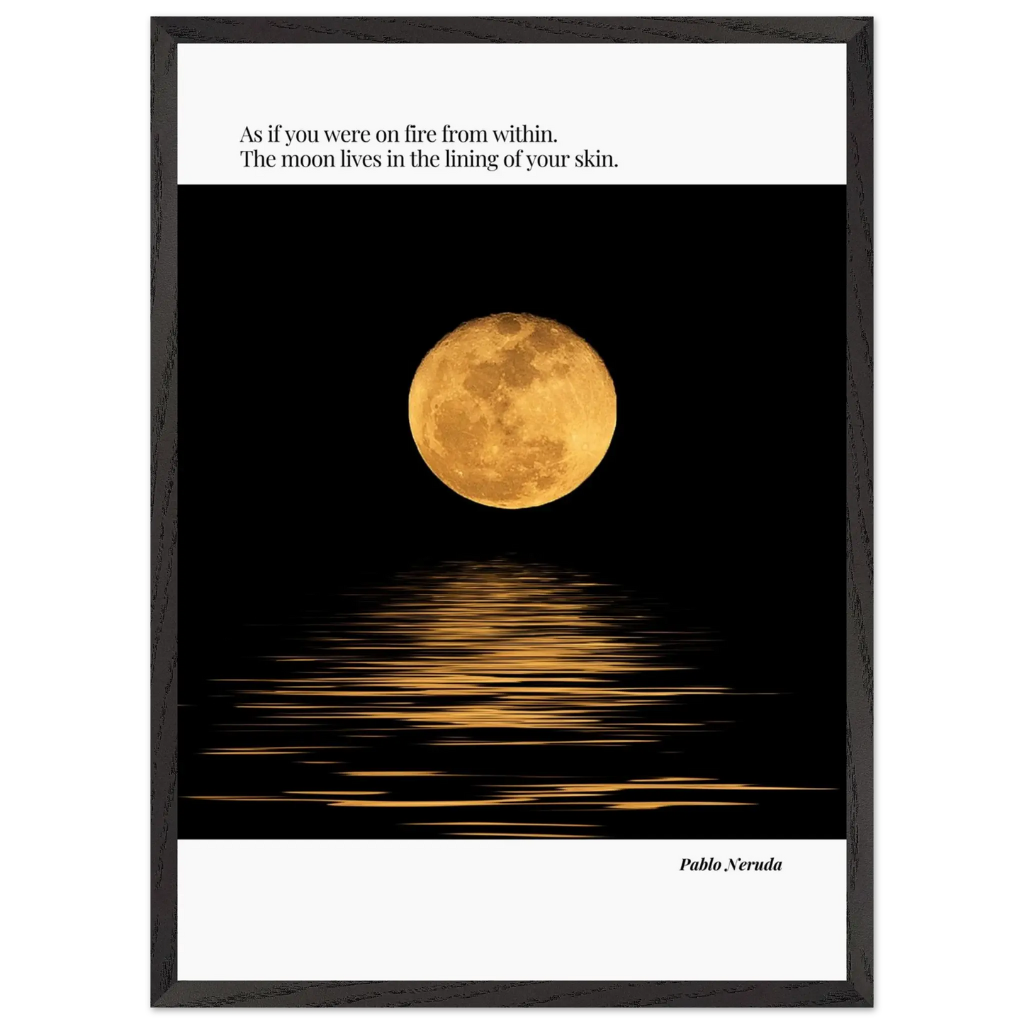 1fd8f314-b11a-4706-a63f-bf4bdc1fb88b